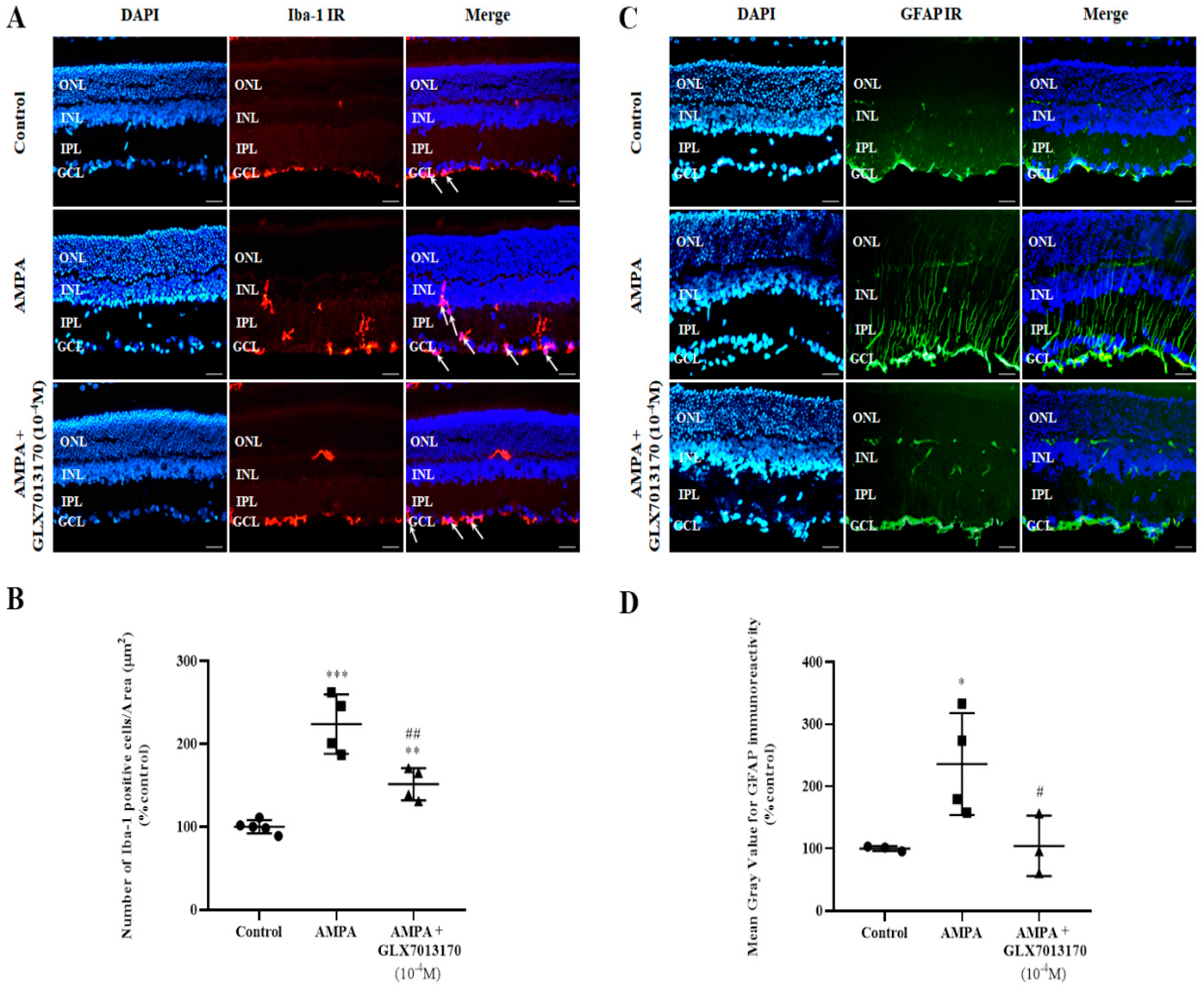Pharmaceuticals 17 00393 g002 Pharmaceuticals 17 00393 g002