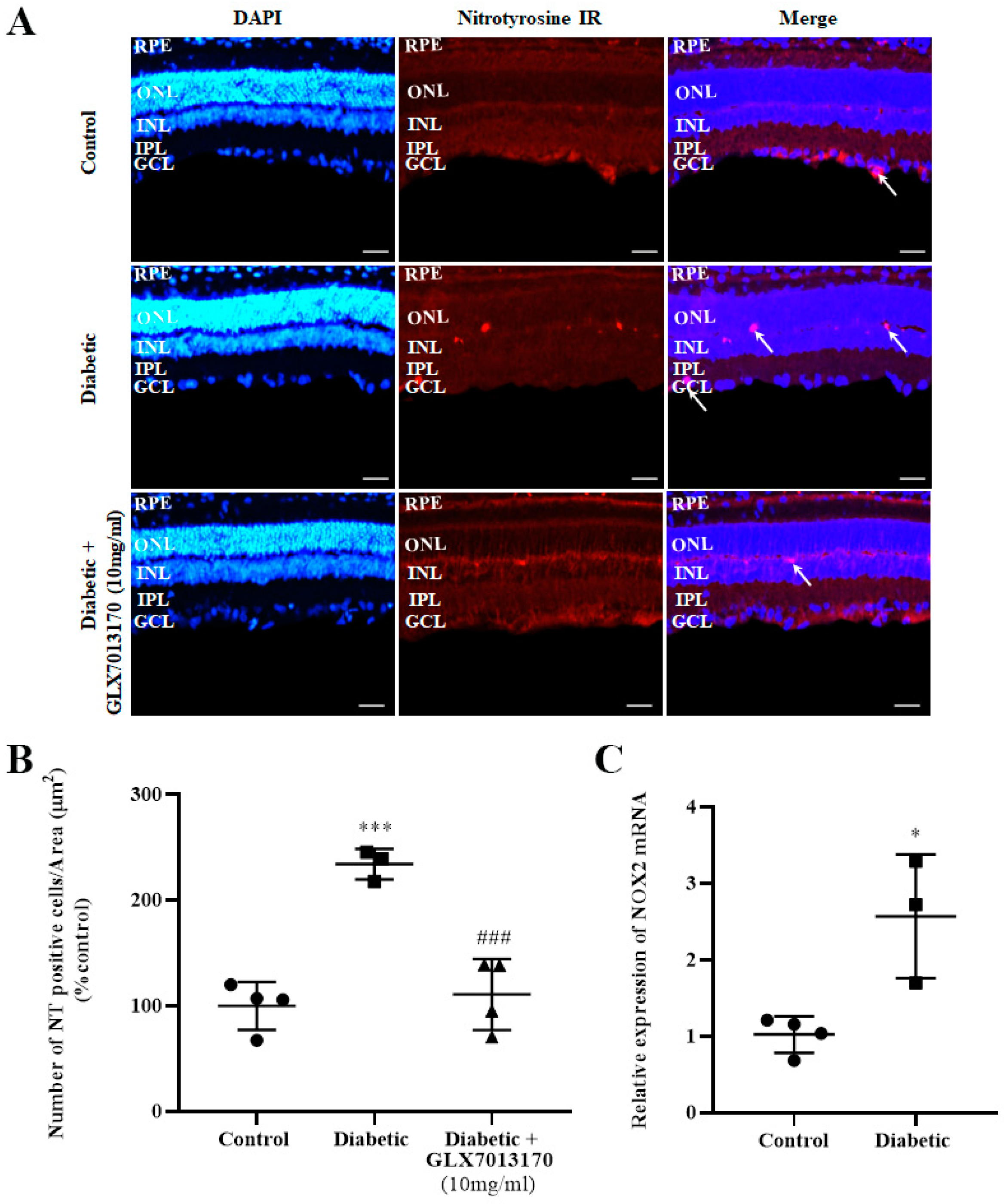 Pharmaceuticals 17 00393 g003 Pharmaceuticals 17 00393 g003