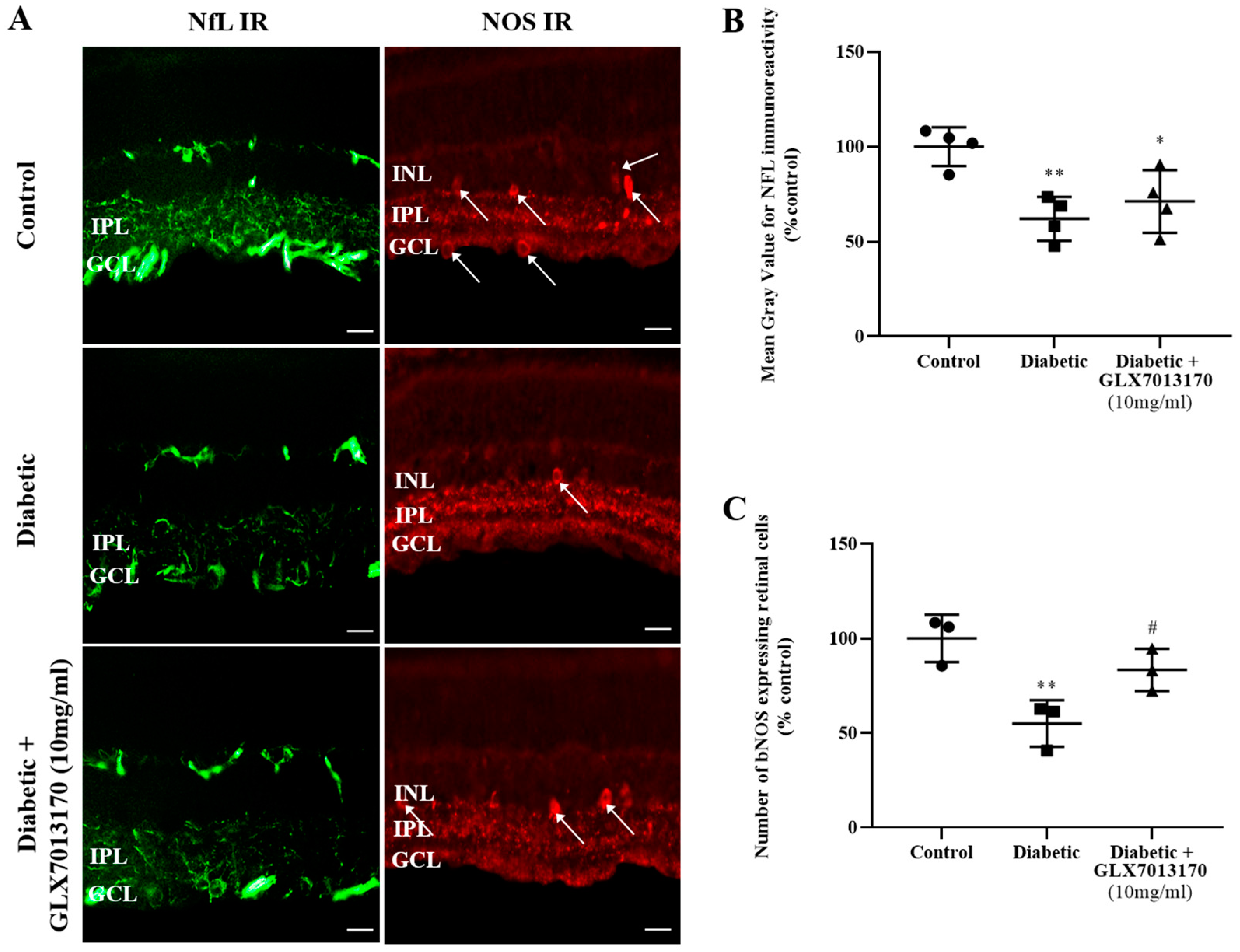 Pharmaceuticals 17 00393 g005 Pharmaceuticals 17 00393 g005