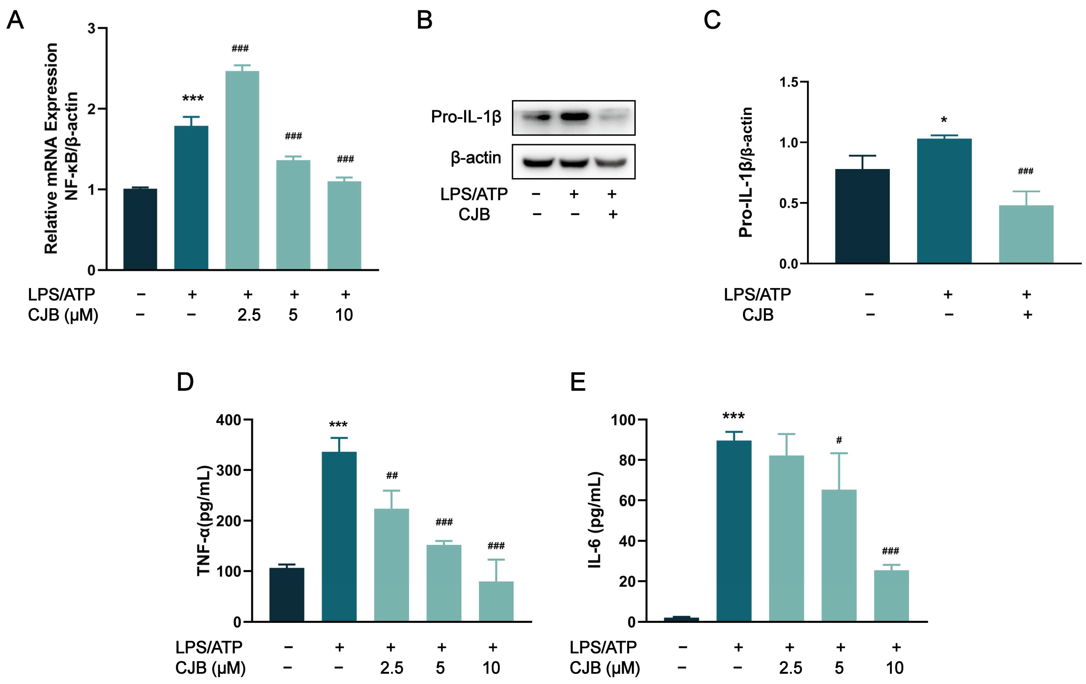 Pharmaceuticals 17 00402 g010