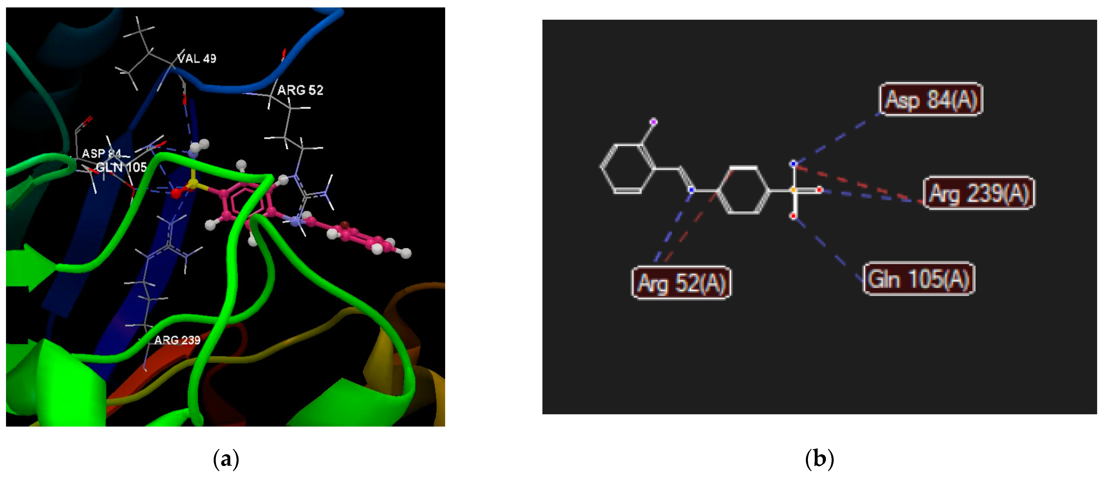 Pharmaceuticals 17 00405 g005a