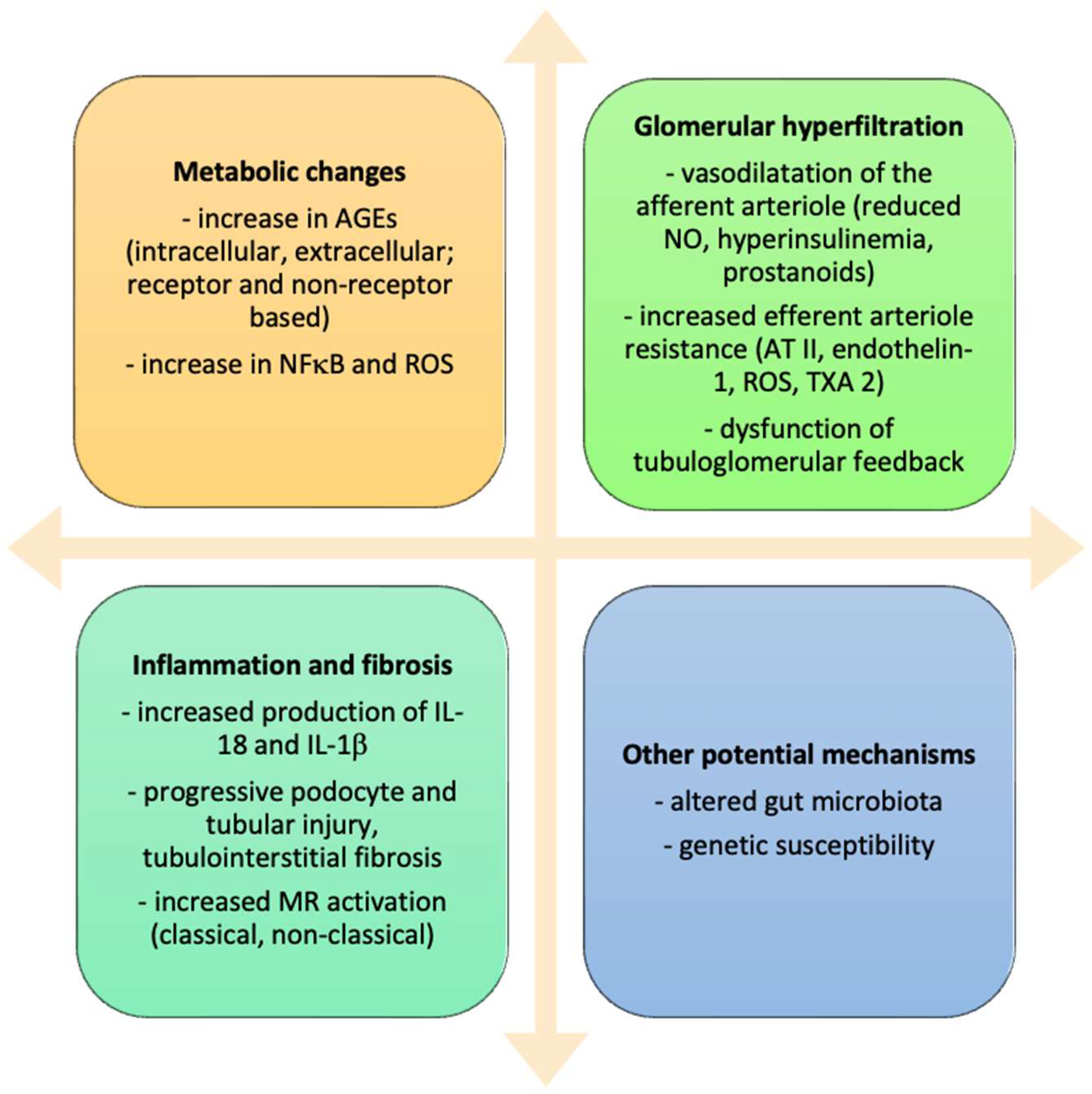 Pharmaceuticals | Free Full-Text | Finerenone: From The Mechanism Of ...