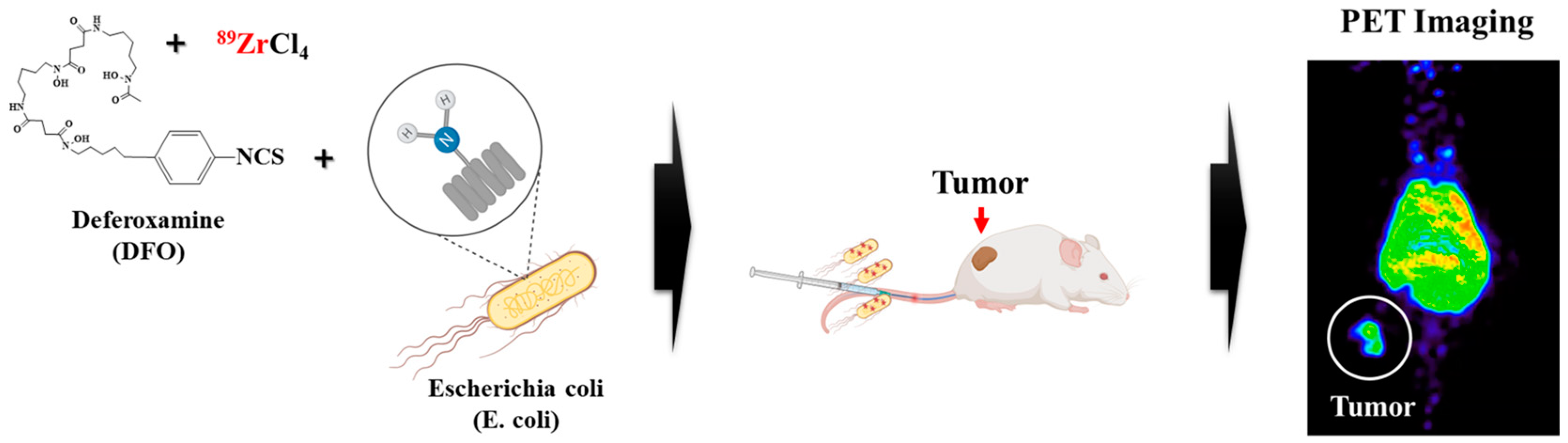 Pharmaceuticals 17 00421 sch001