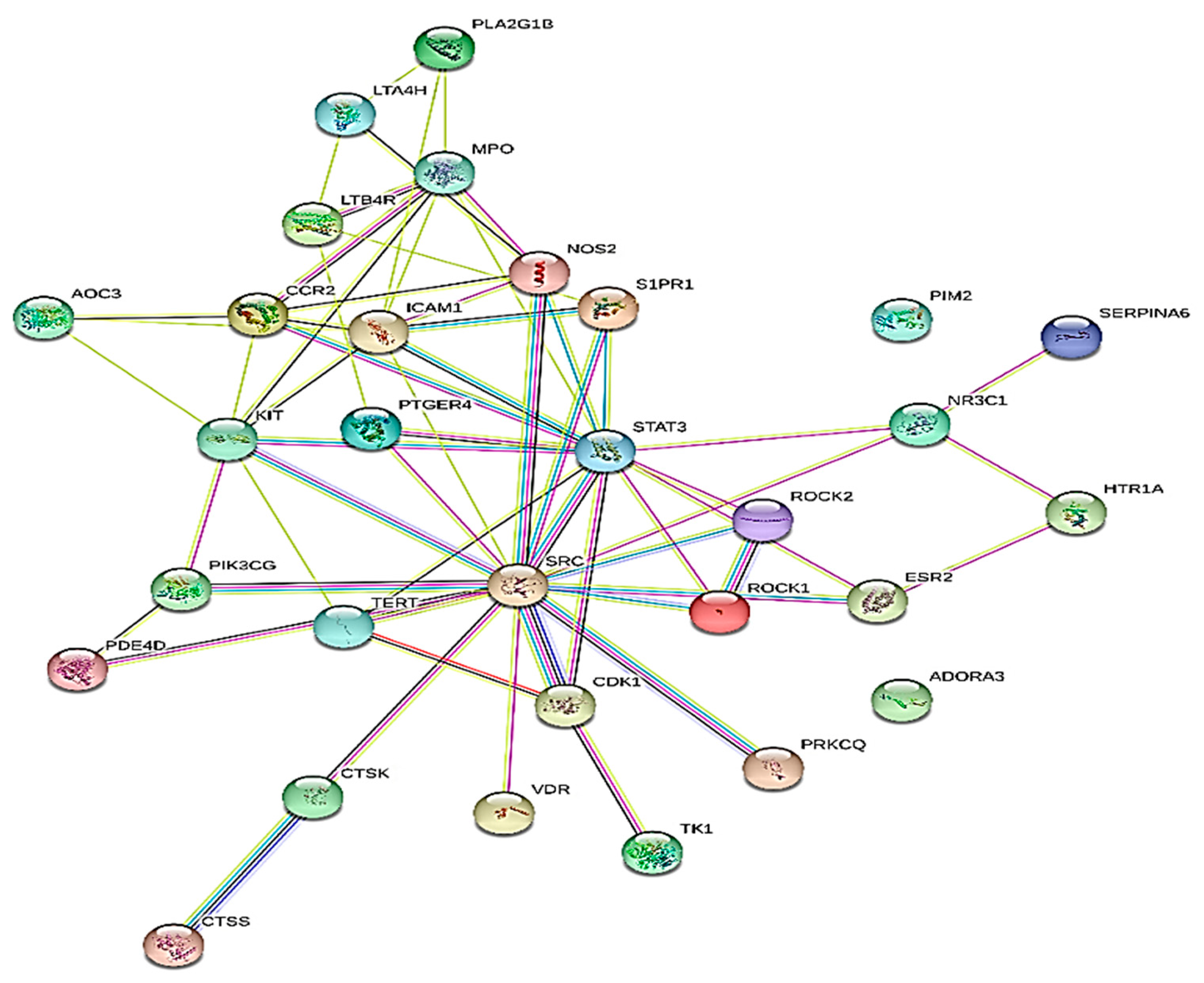Pharmaceuticals 17 00423 g004