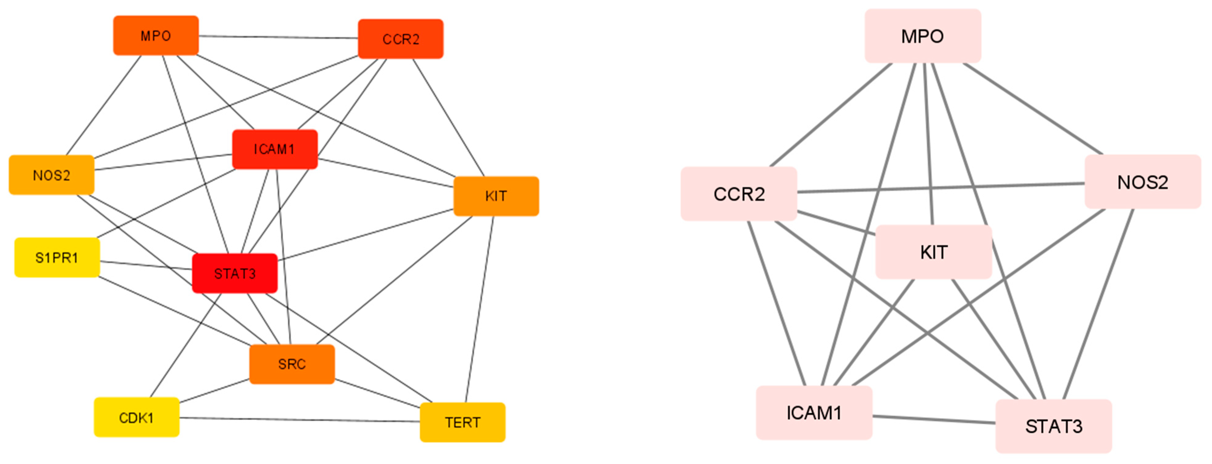 Pharmaceuticals 17 00423 g005