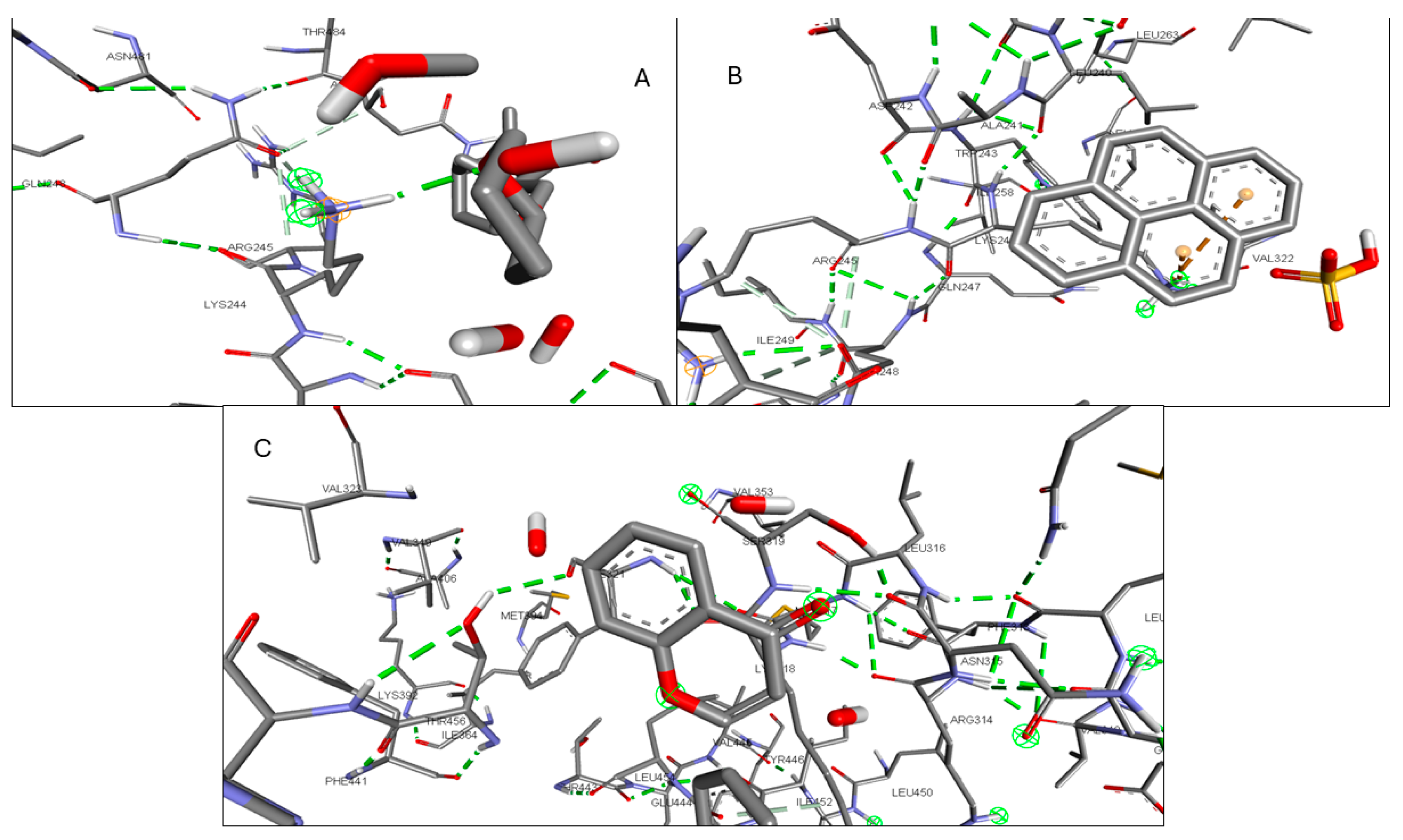 Pharmaceuticals 17 00423 g013