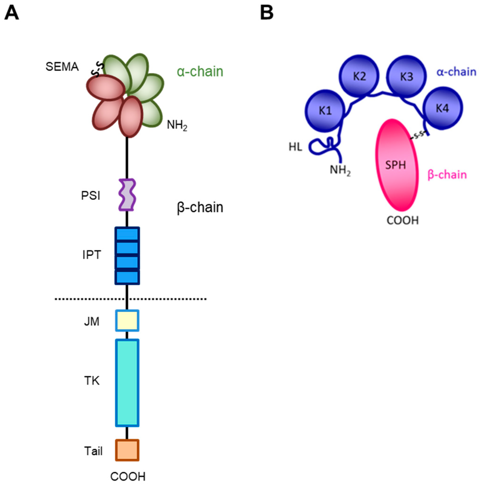 Pharmaceuticals 17 00448 g001 Pharmaceuticals 17 00448 g001