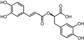Pharmaceuticals 17 00453 i013