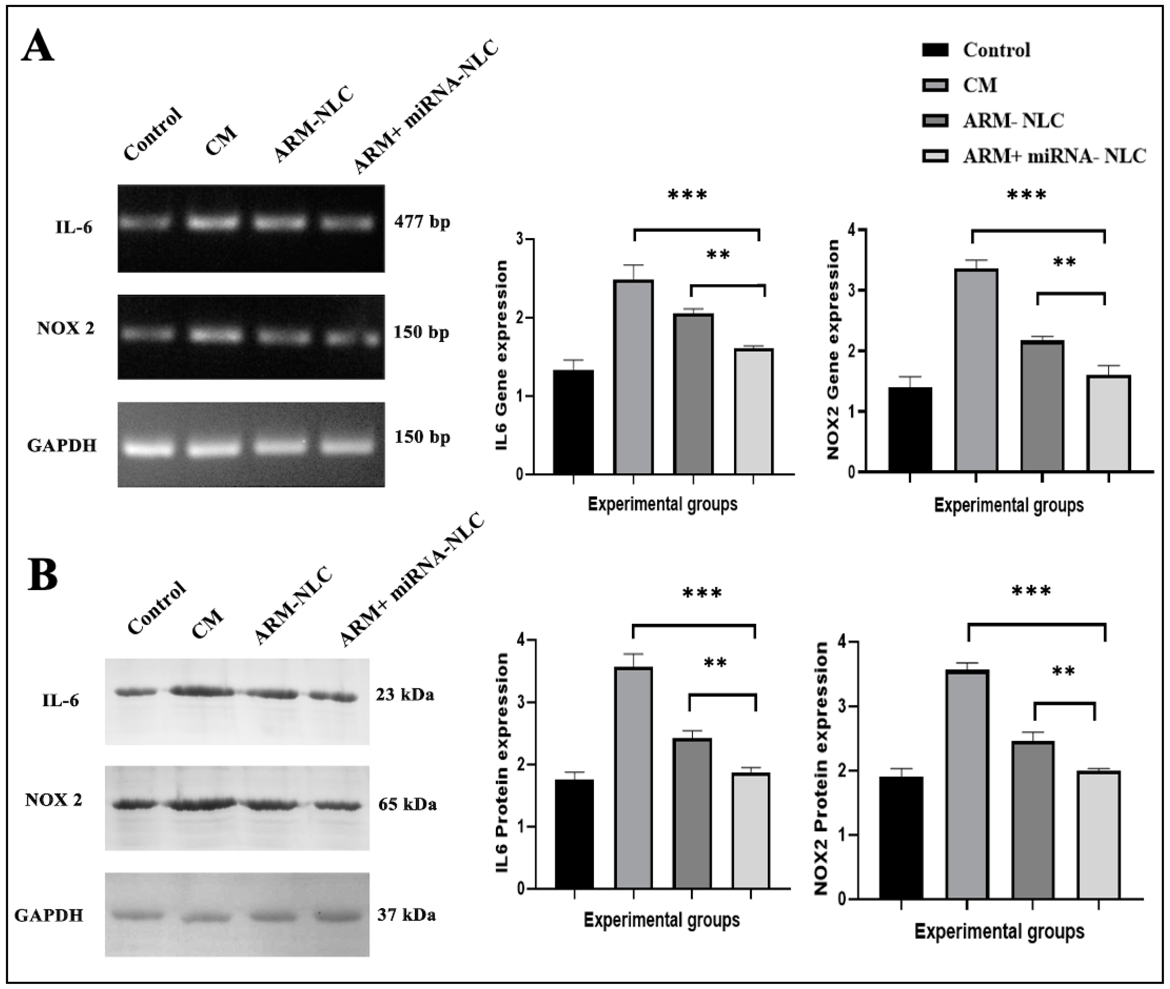 Pharmaceuticals 17 00466 g008