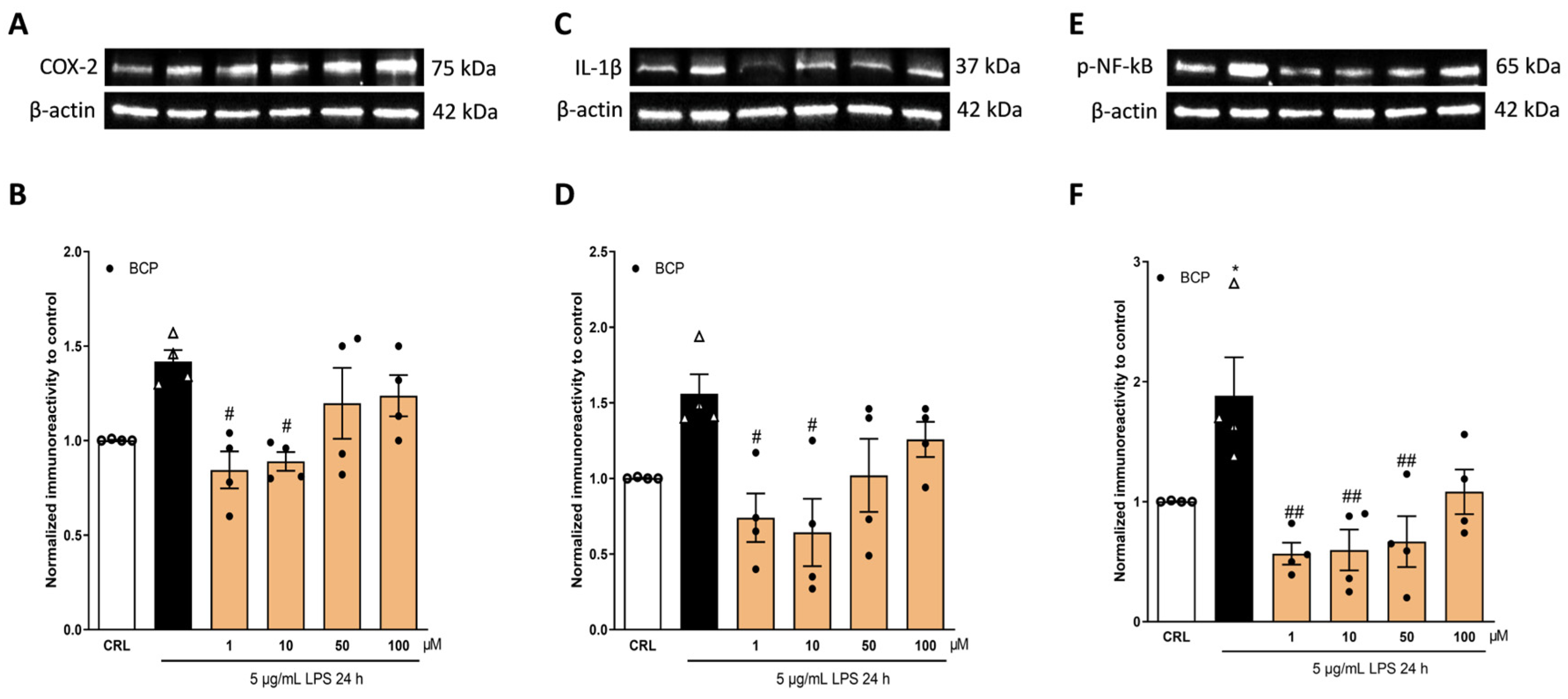 Pharmaceuticals 17 00467 g003