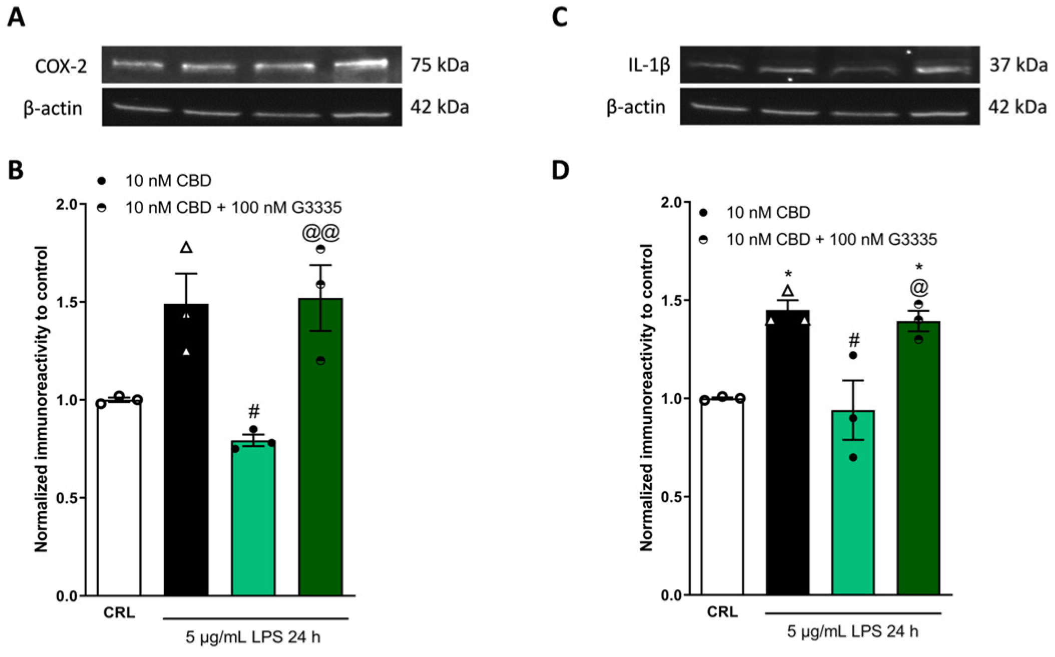 Pharmaceuticals 17 00467 g004