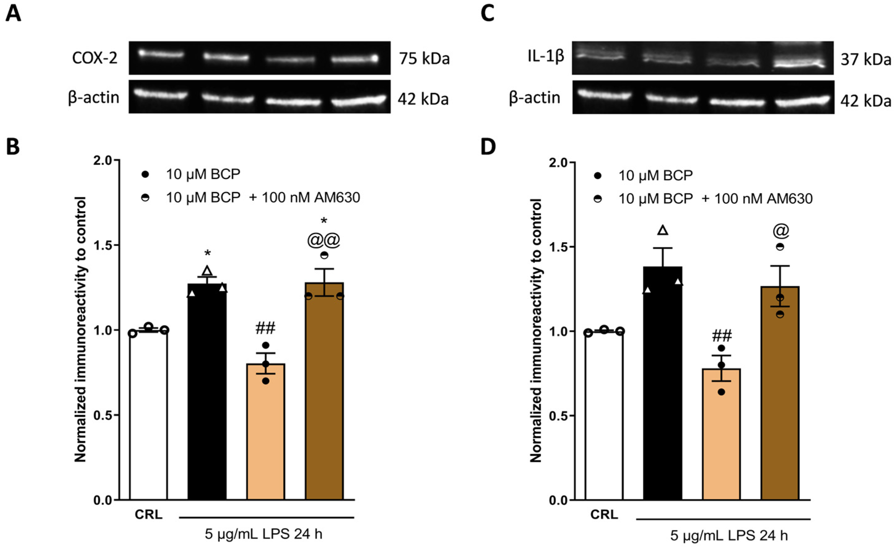 Pharmaceuticals 17 00467 g005