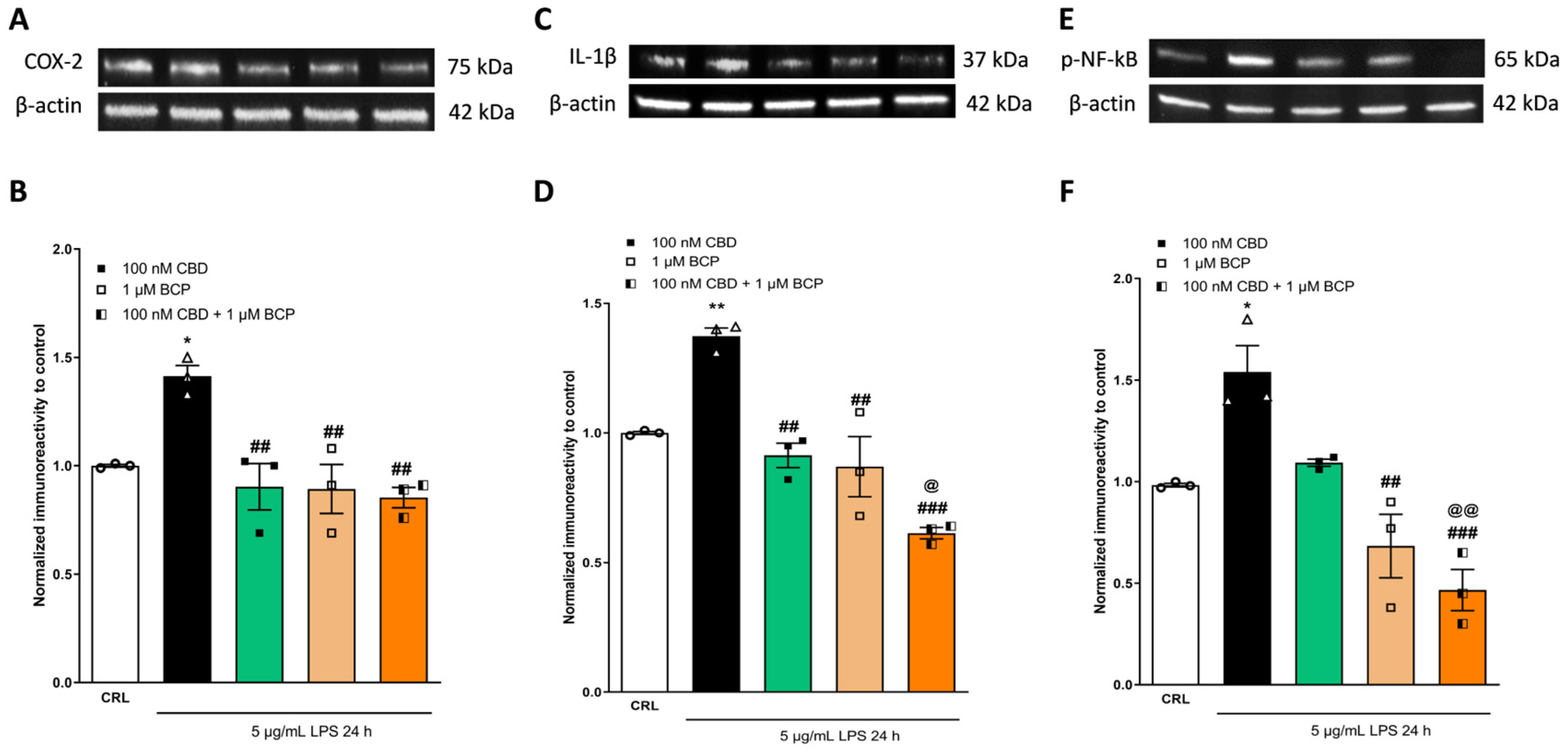 Pharmaceuticals 17 00467 g009