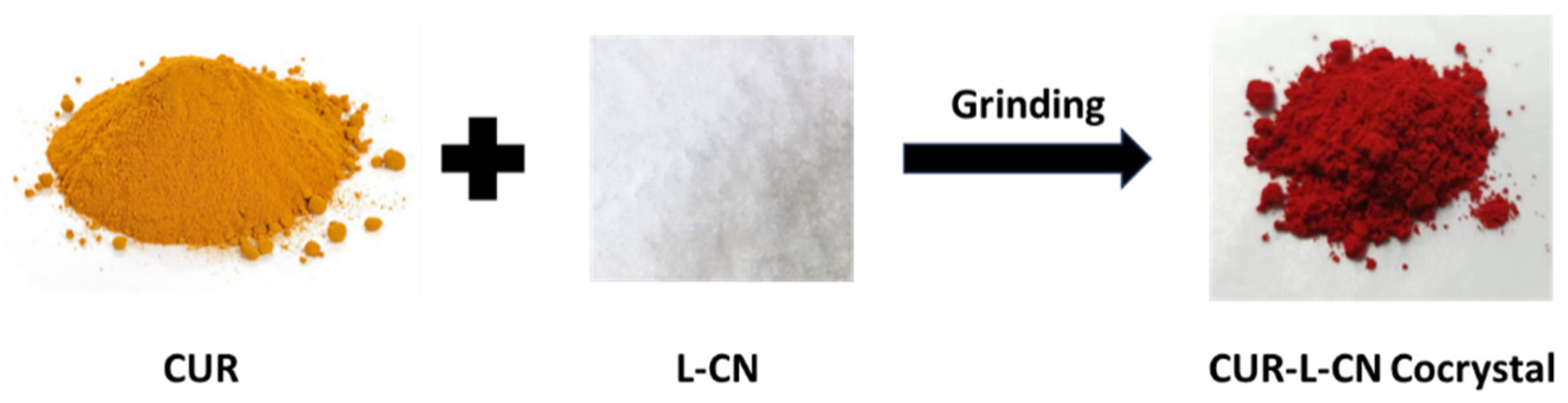 Pharmaceuticals 17 00489 g003