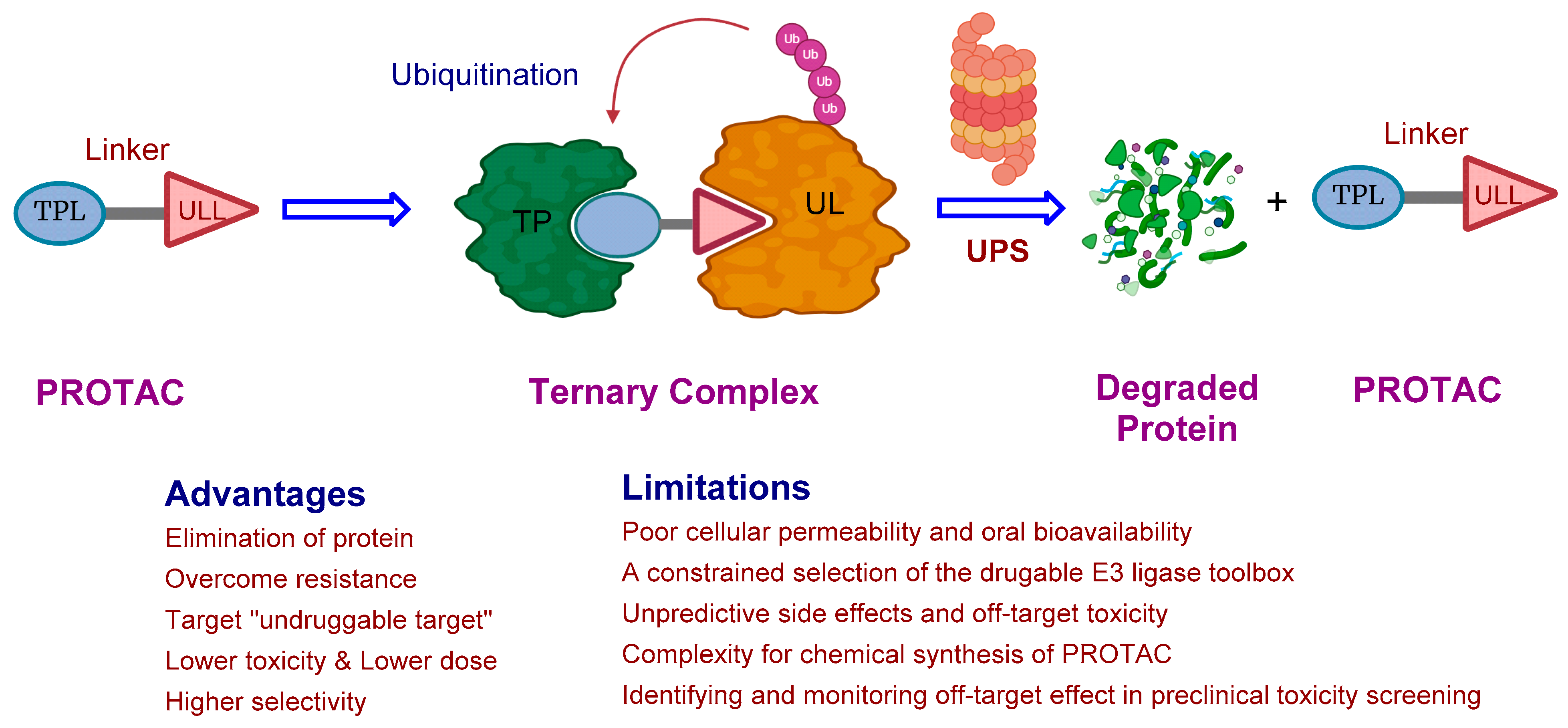 Pharmaceuticals 17 00494 g001