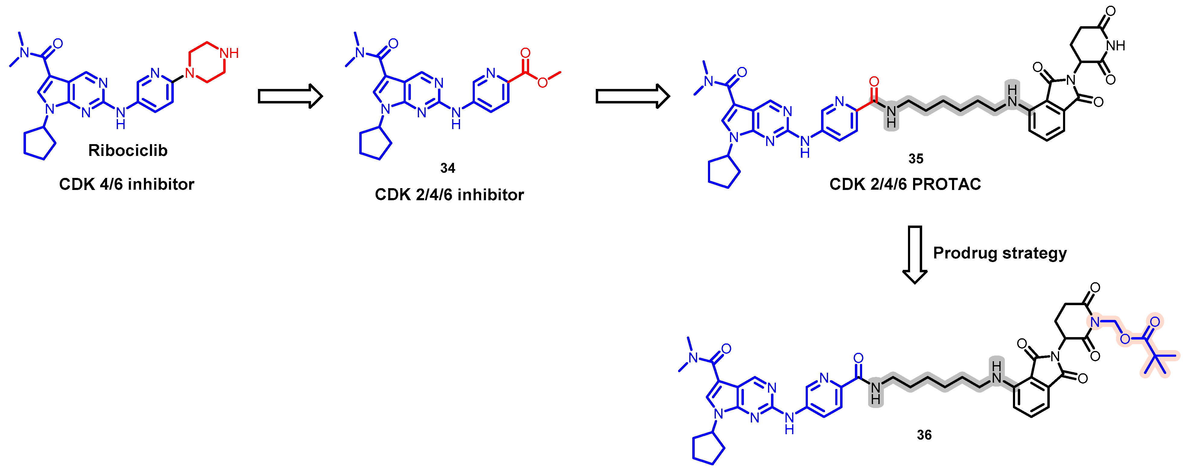 Pharmaceuticals 17 00494 g018