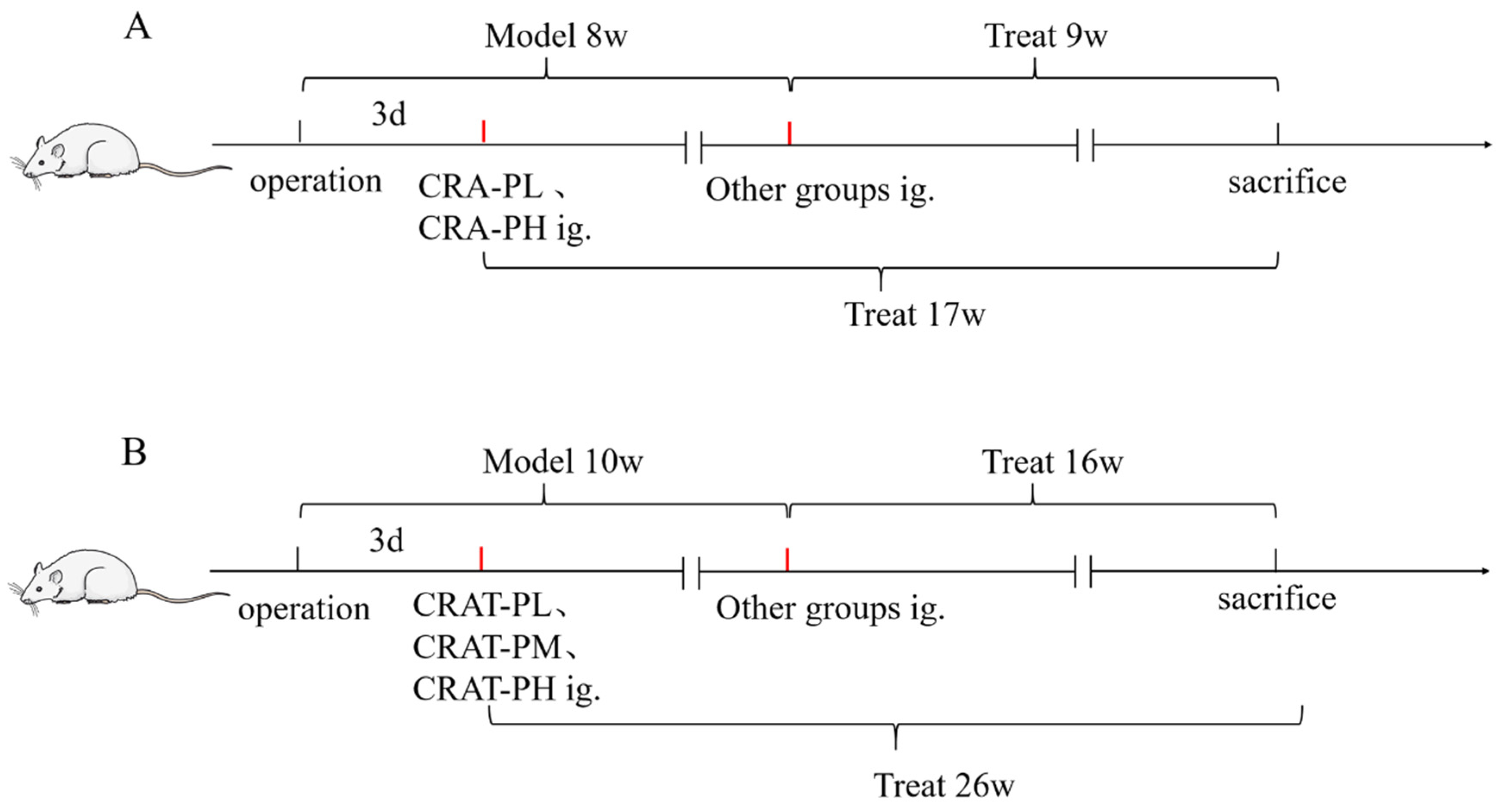 Pharmaceuticals 17 00496 g009 Pharmaceuticals 17 00496 g009