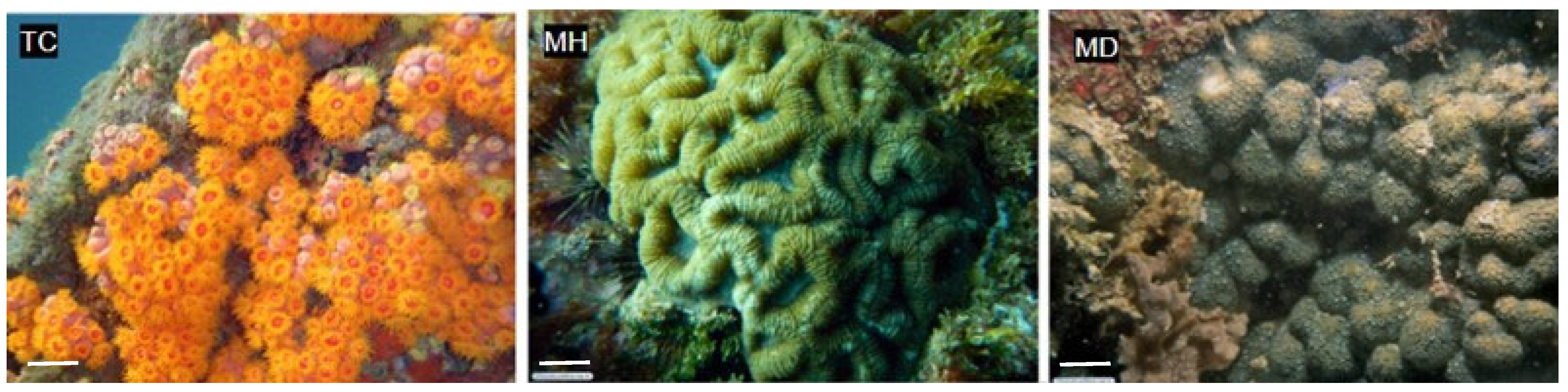 Pharmaceuticals 17 00499 g002