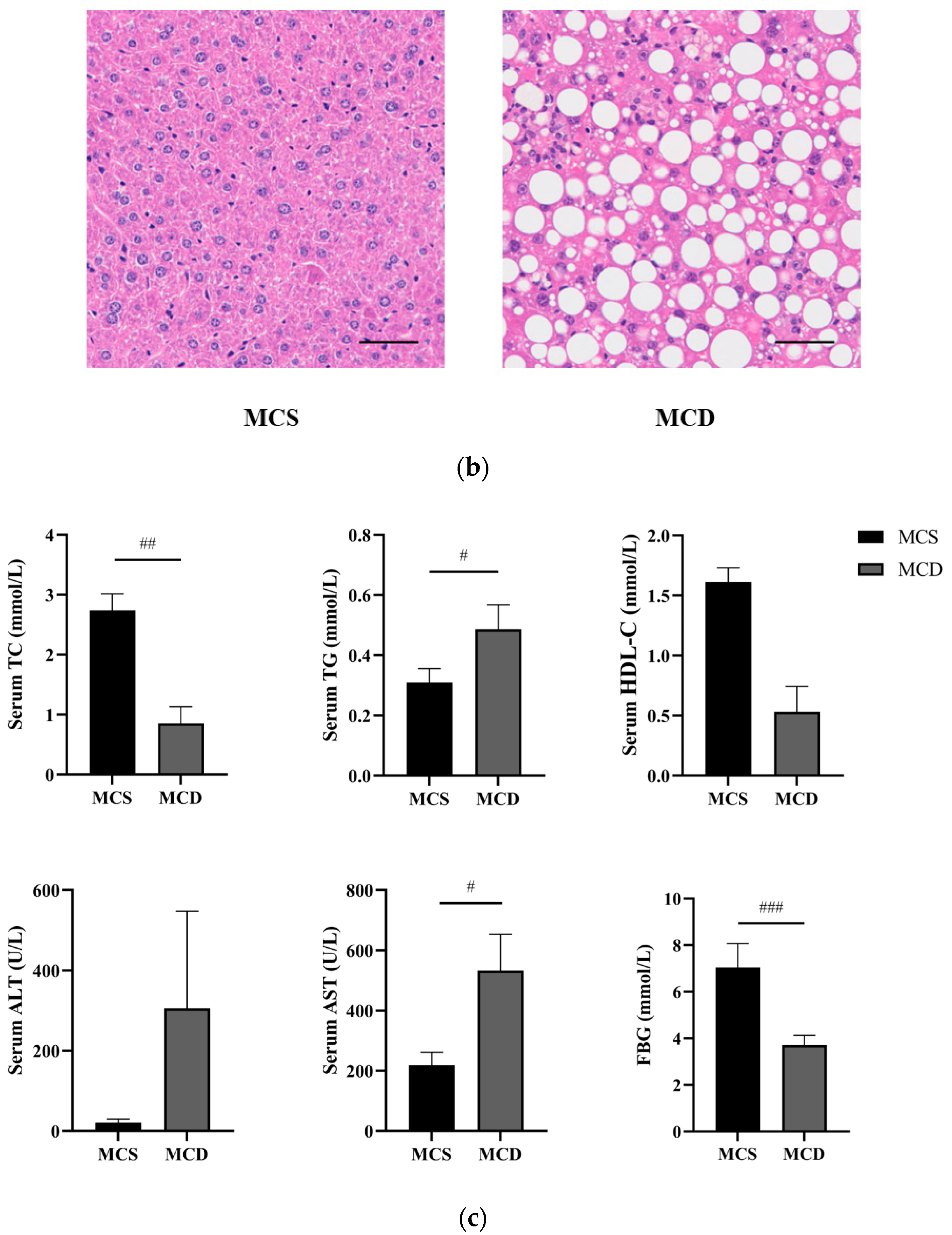 Pharmaceuticals 17 00502 g002b