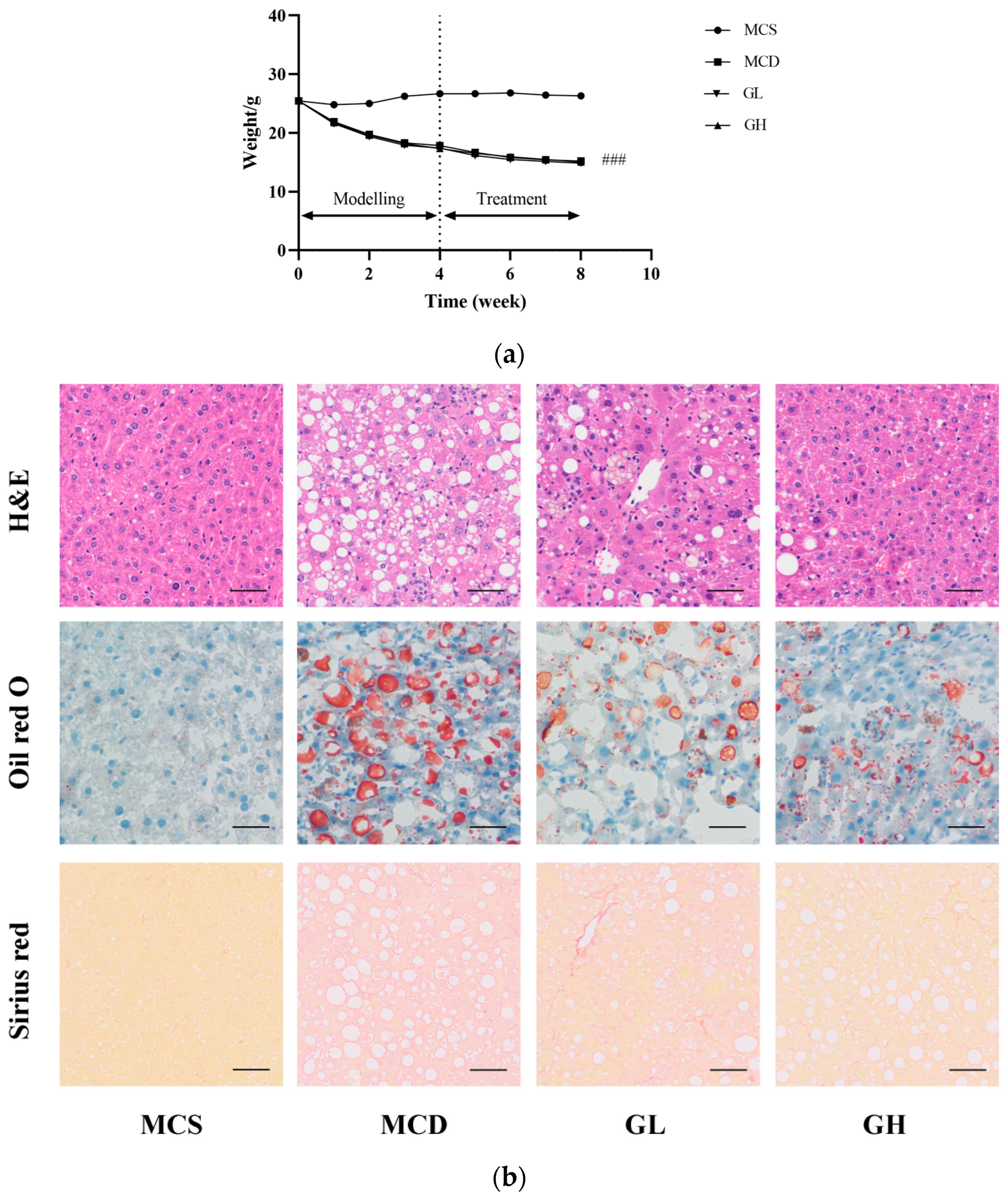 Pharmaceuticals 17 00502 g003a