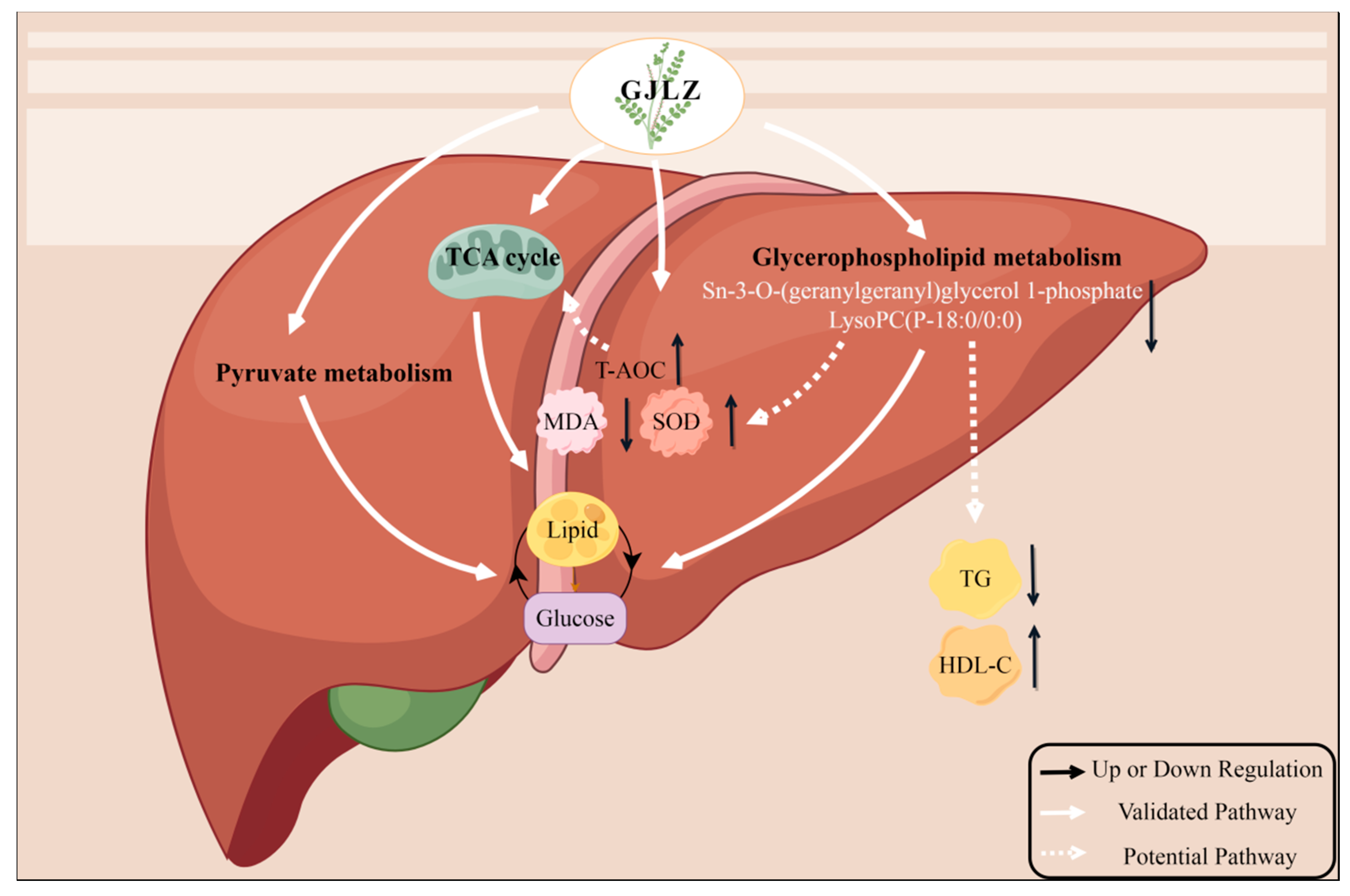 Pharmaceuticals 17 00502 g008