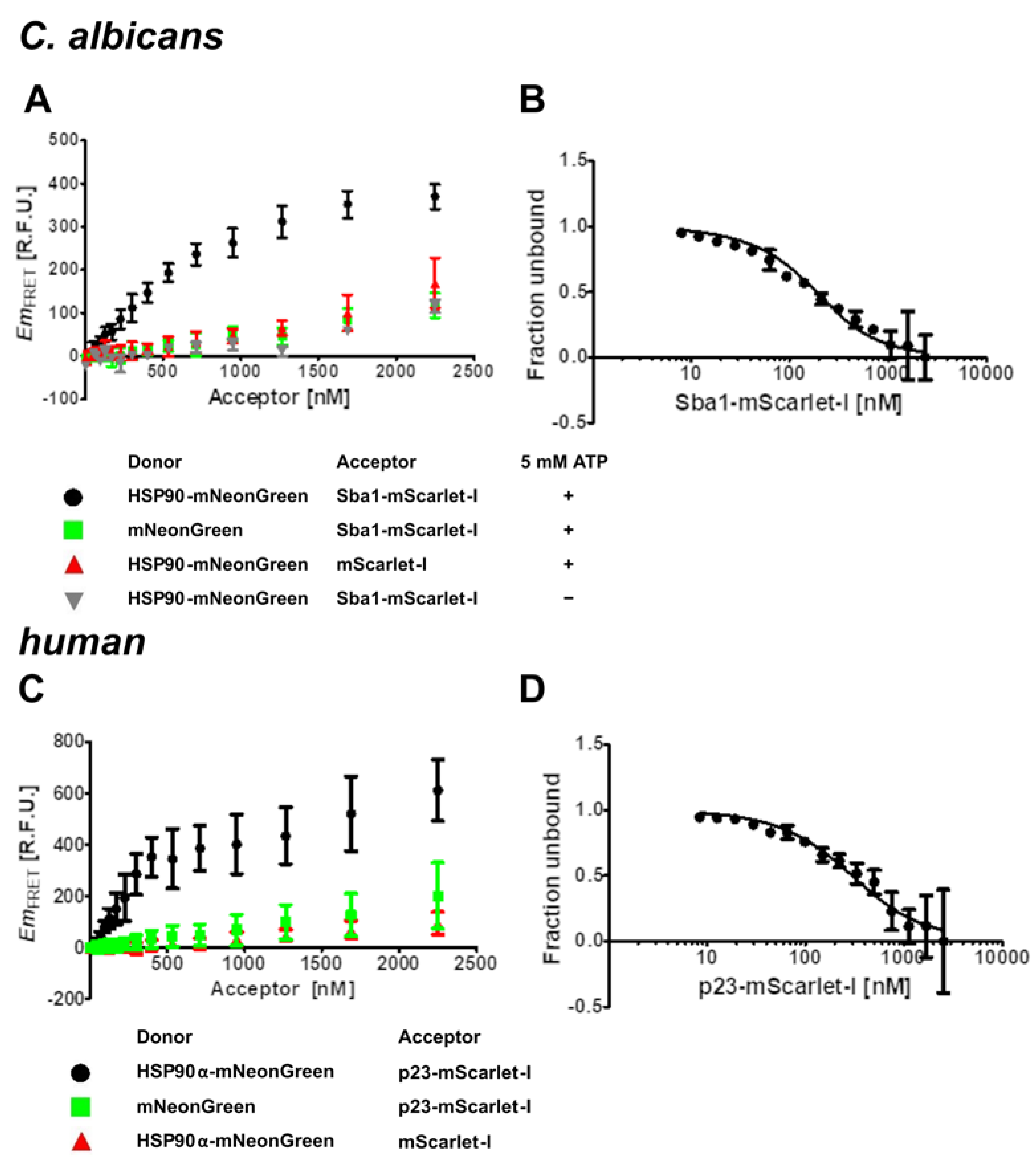 Pharmaceuticals 17 00516 g002 Pharmaceuticals 17 00516 g002