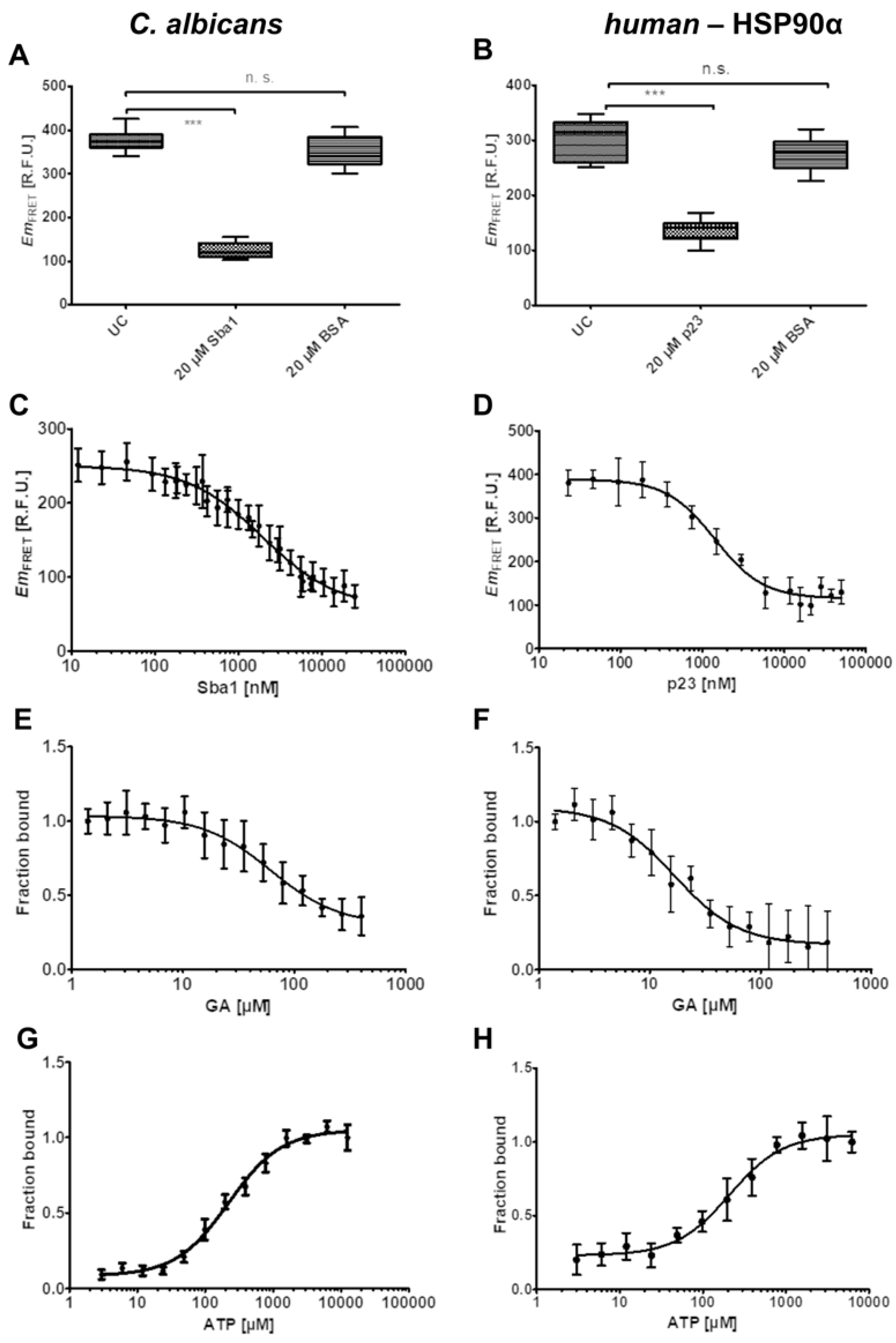Pharmaceuticals 17 00516 g003 Pharmaceuticals 17 00516 g003