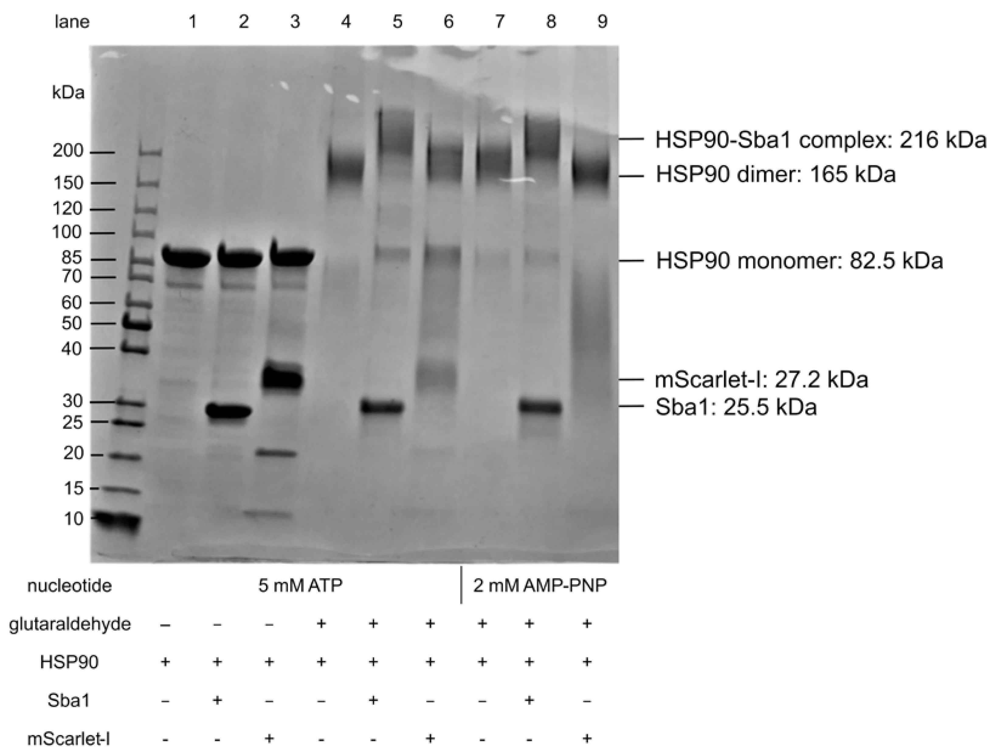 Pharmaceuticals 17 00516 g006 Pharmaceuticals 17 00516 g006