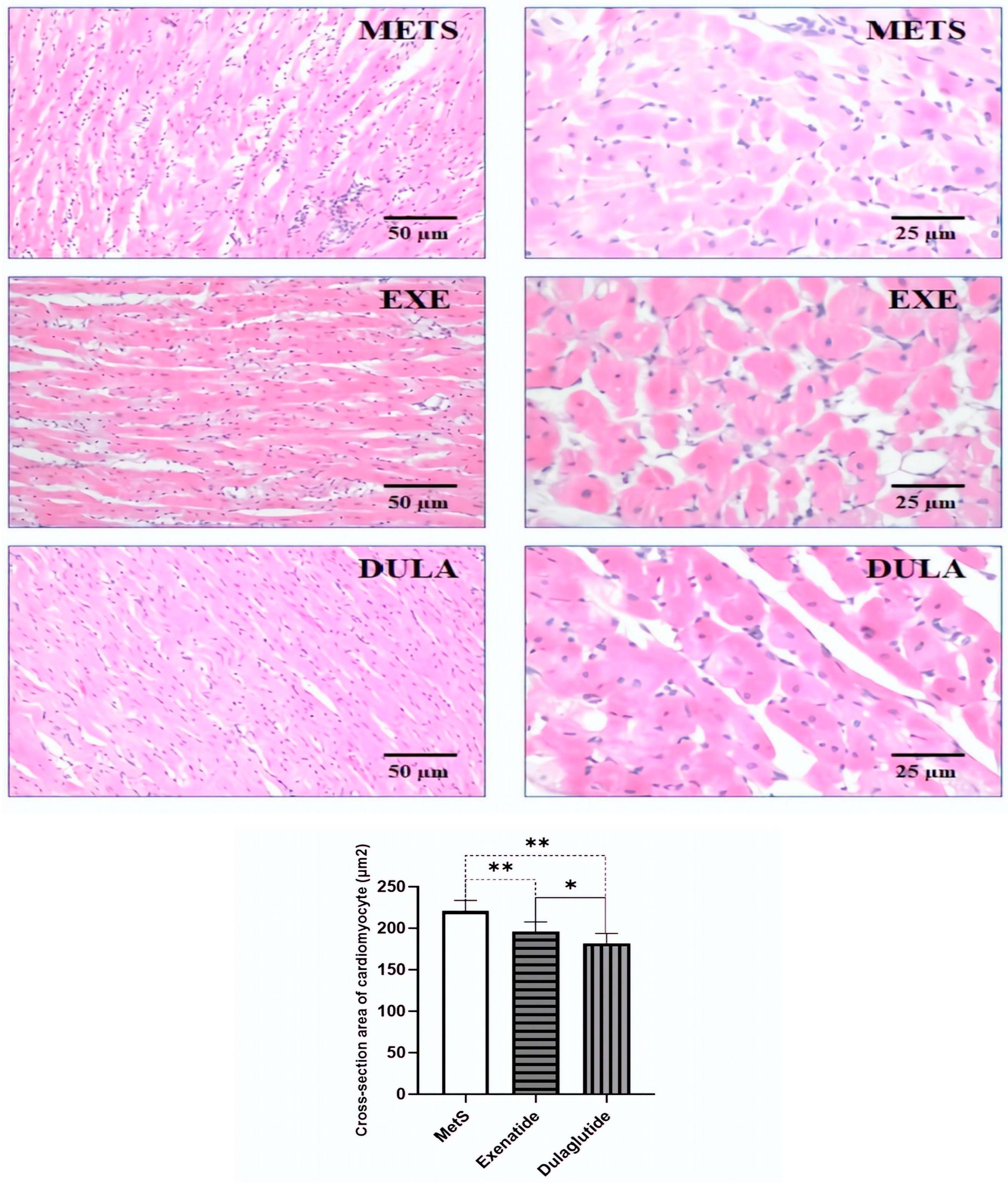 Pharmaceuticals 17 00525 g006