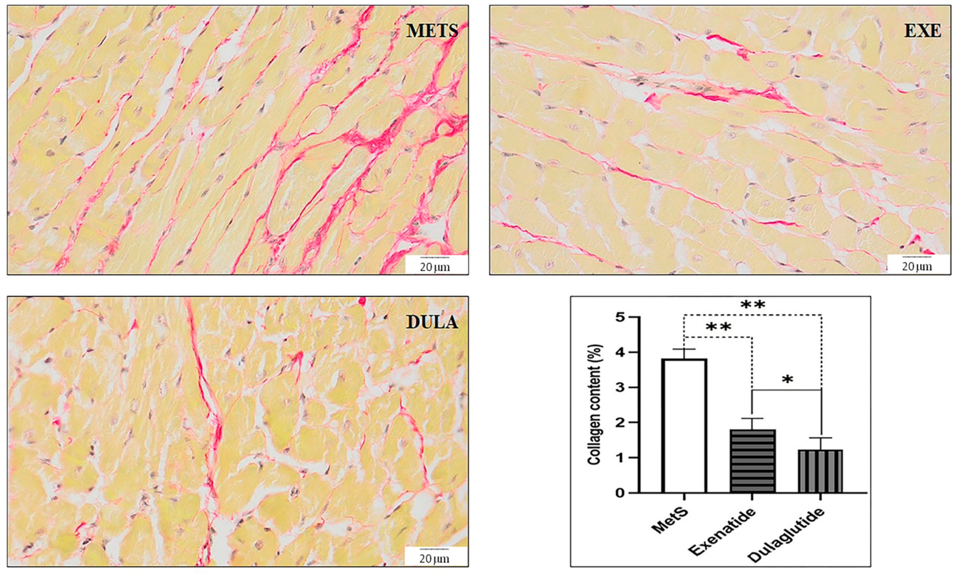 Pharmaceuticals 17 00525 g007