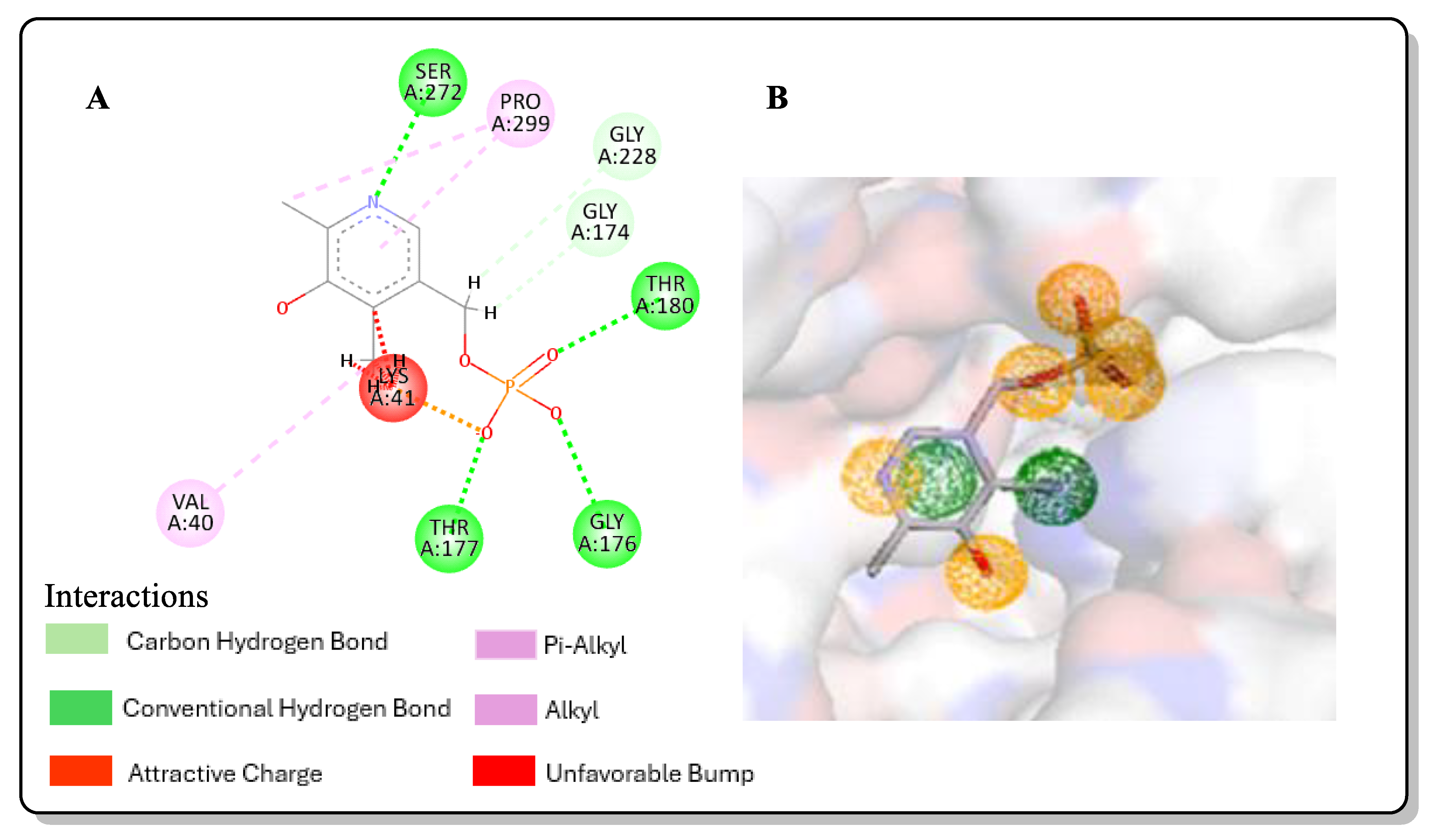 Pharmaceuticals 17 00543 g001