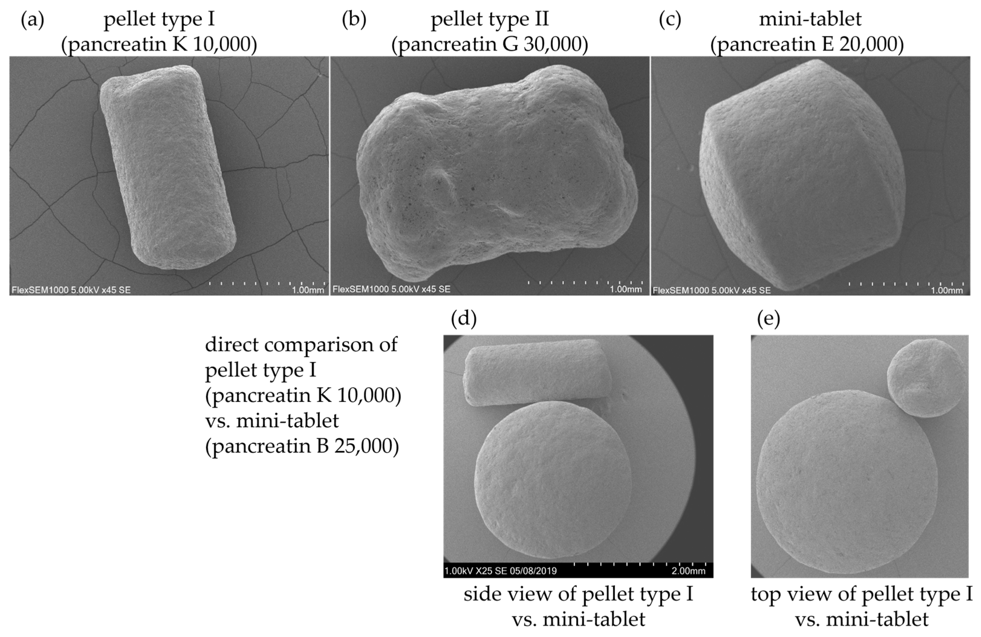 Pharmaceuticals 17 00552 g001