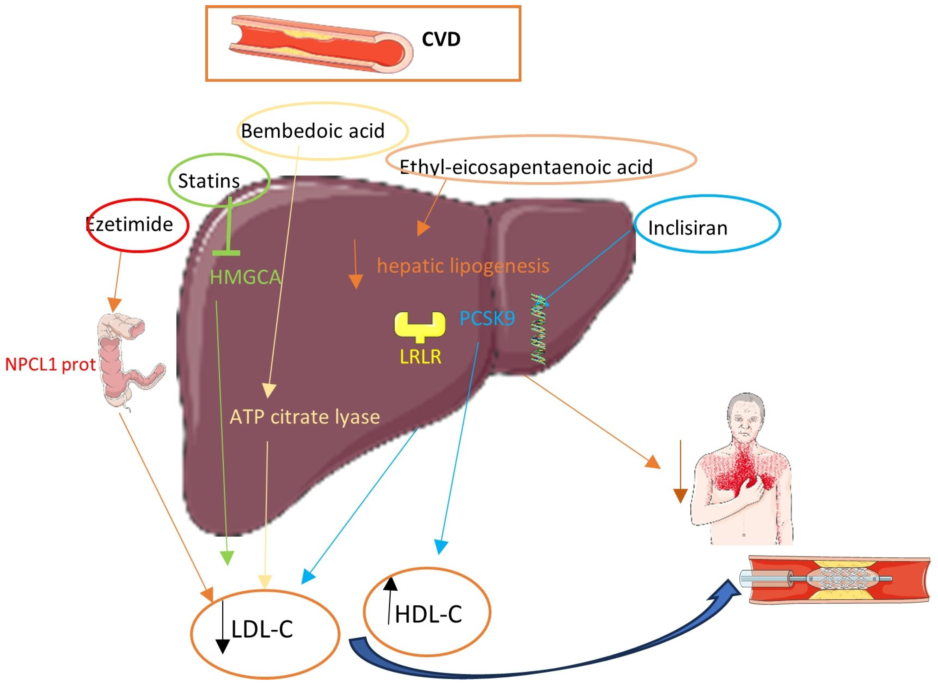 Pharmaceuticals 17 00568 g001 Pharmaceuticals 17 00568 g001