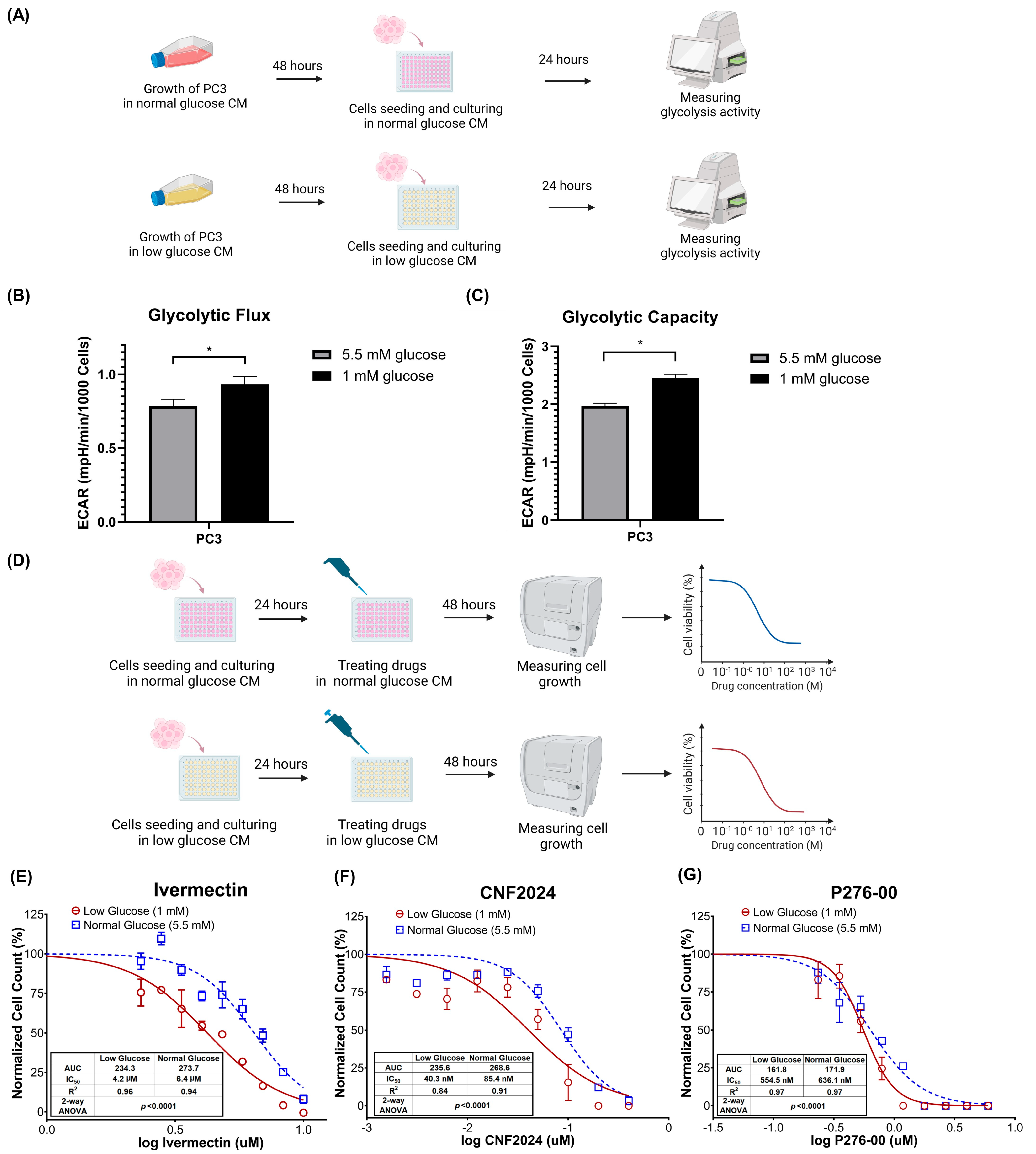 Pharmaceuticals 17 00569 g004