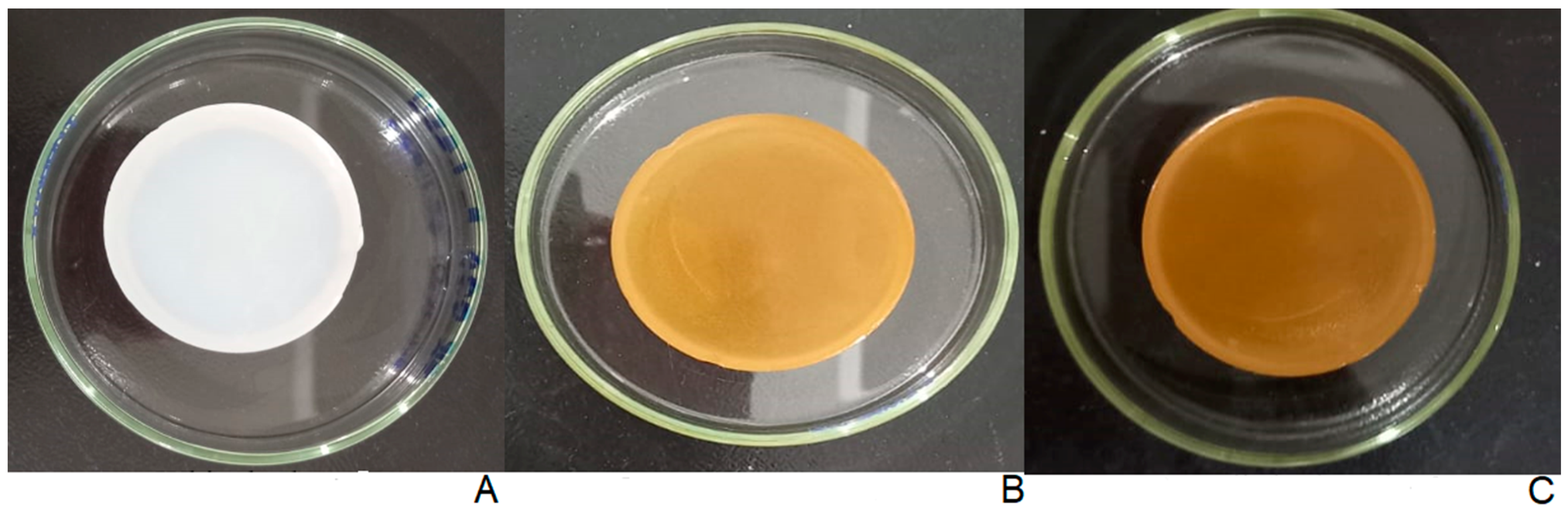Pharmaceuticals 17 00575 g001