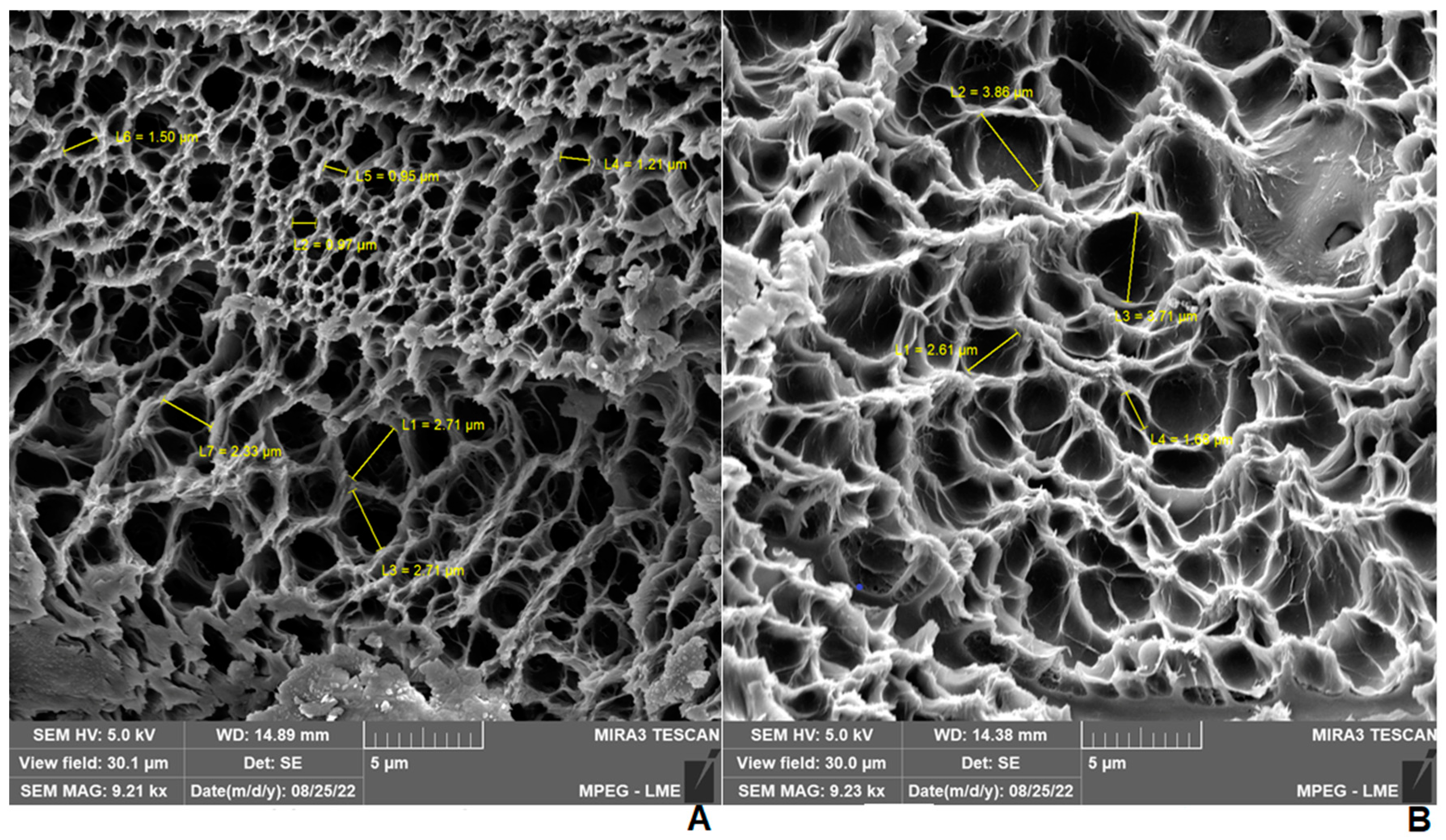 Pharmaceuticals 17 00575 g003