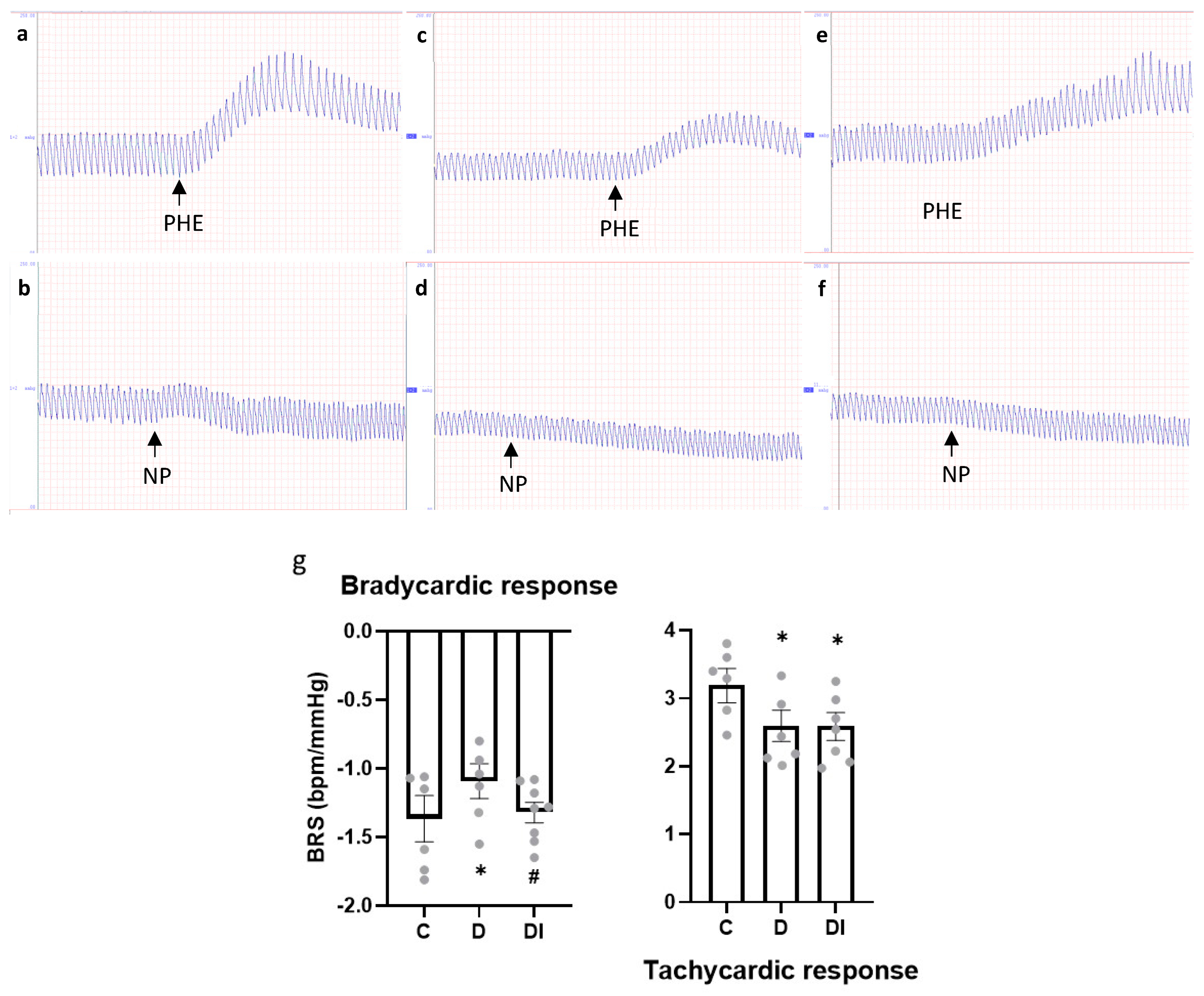 Pharmaceuticals 17 00577 g002