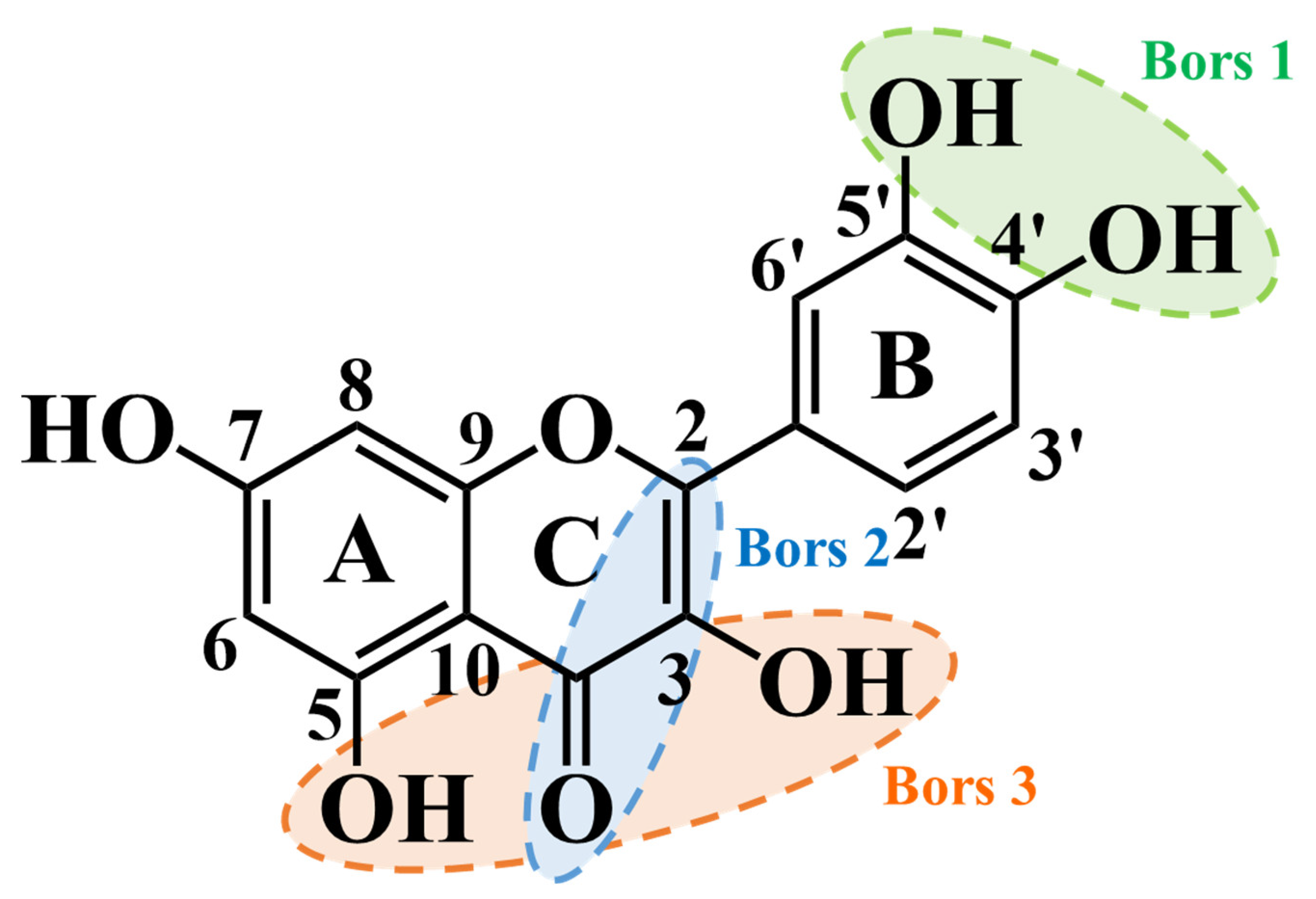 Pharmaceuticals 17 00590 g004 Pharmaceuticals 17 00590 g004
