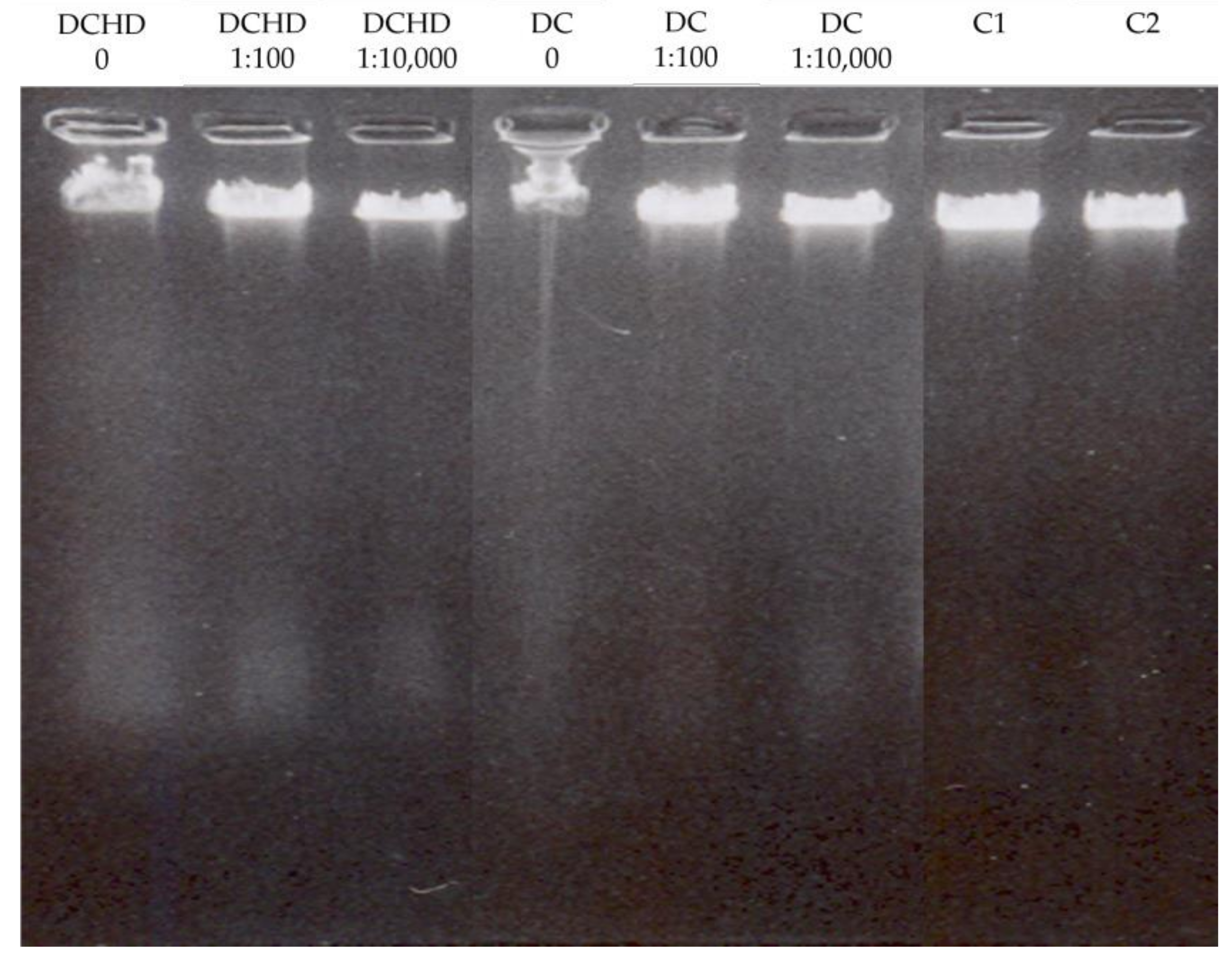 Pharmaceuticals 17 00600 g001 Pharmaceuticals 17 00600 g001