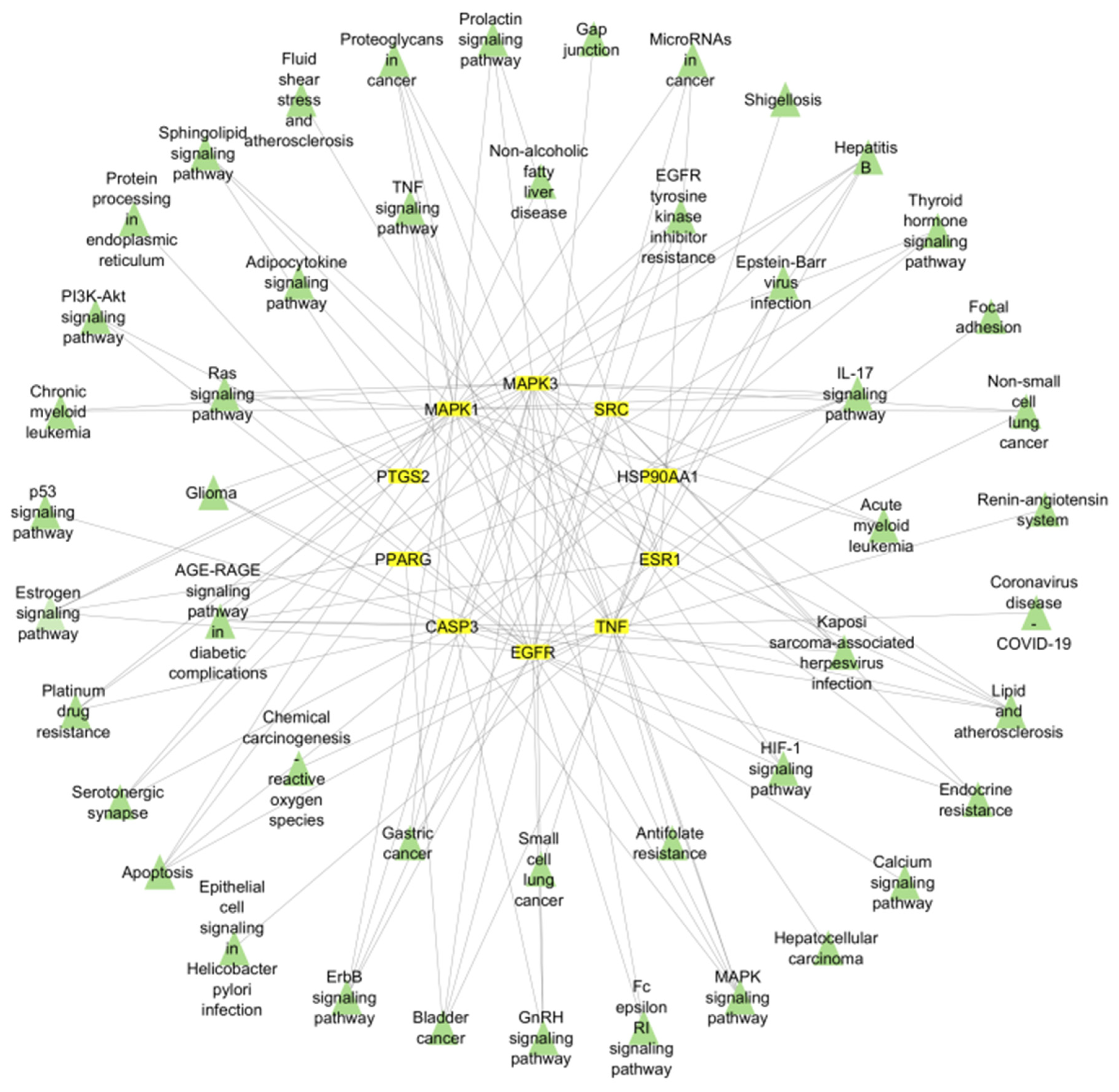 Pharmaceuticals 17 00617 g004