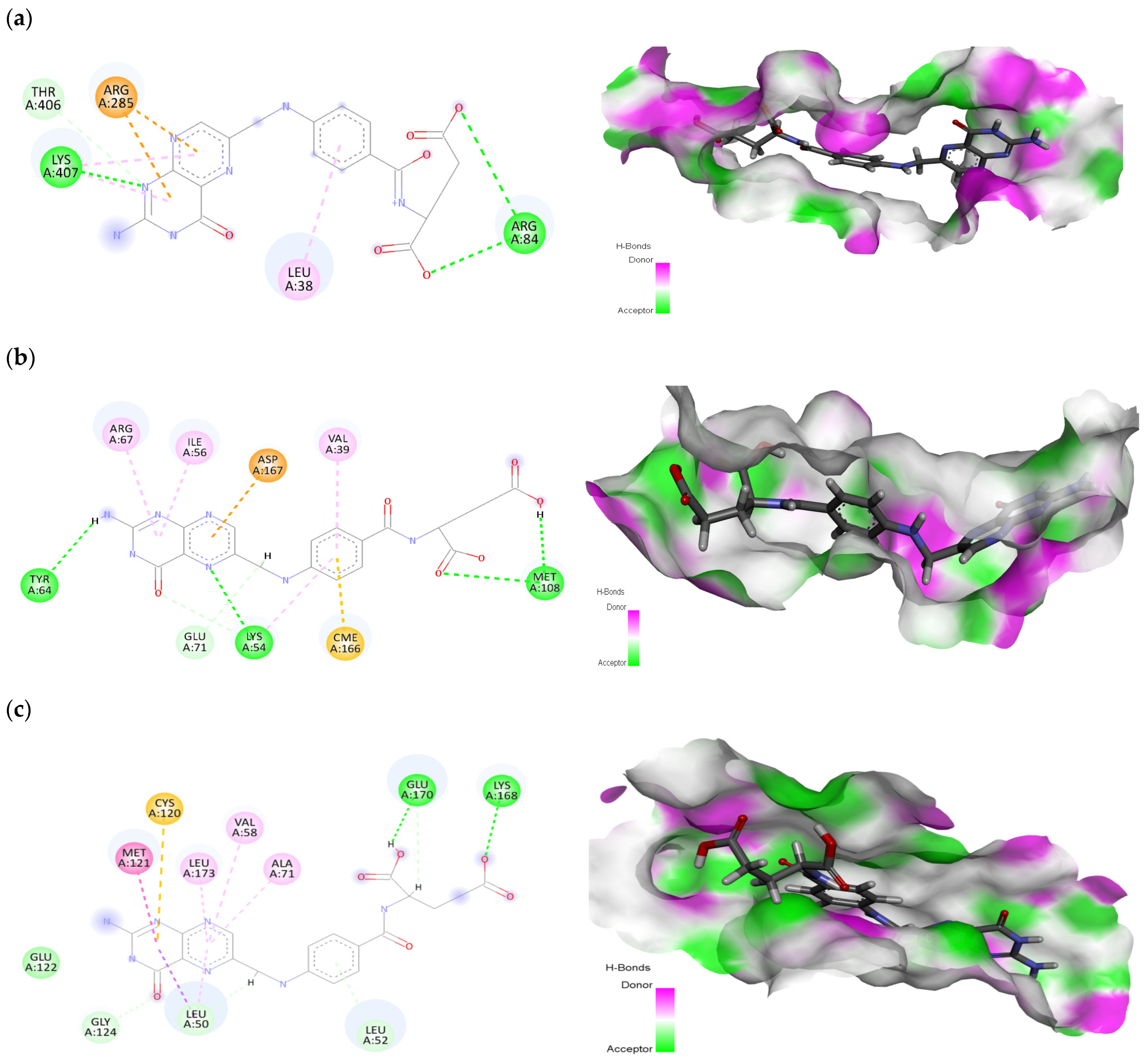 Pharmaceuticals 17 00617 g005a