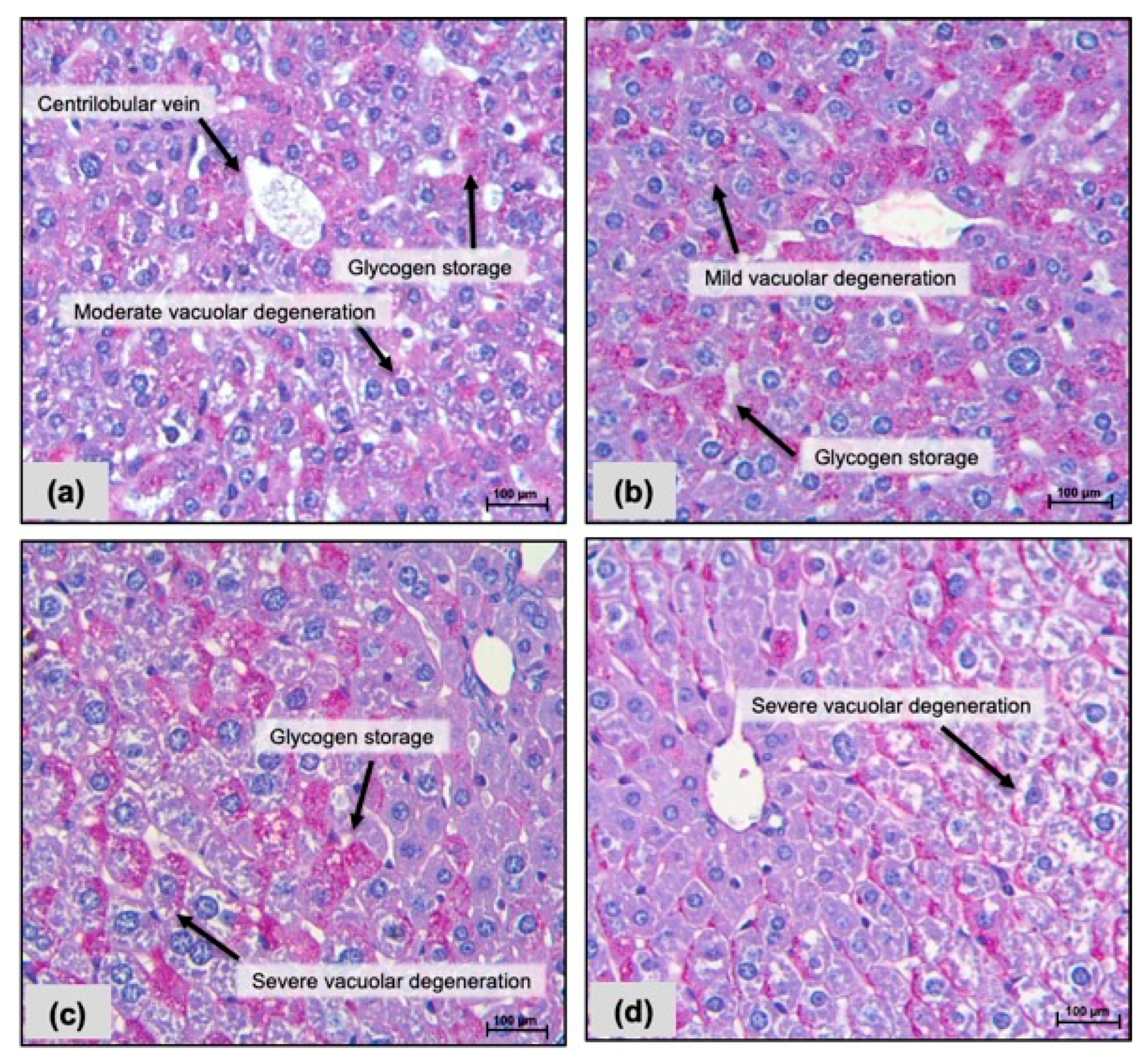 Pharmaceuticals 17 00633 g003 Pharmaceuticals 17 00633 g003