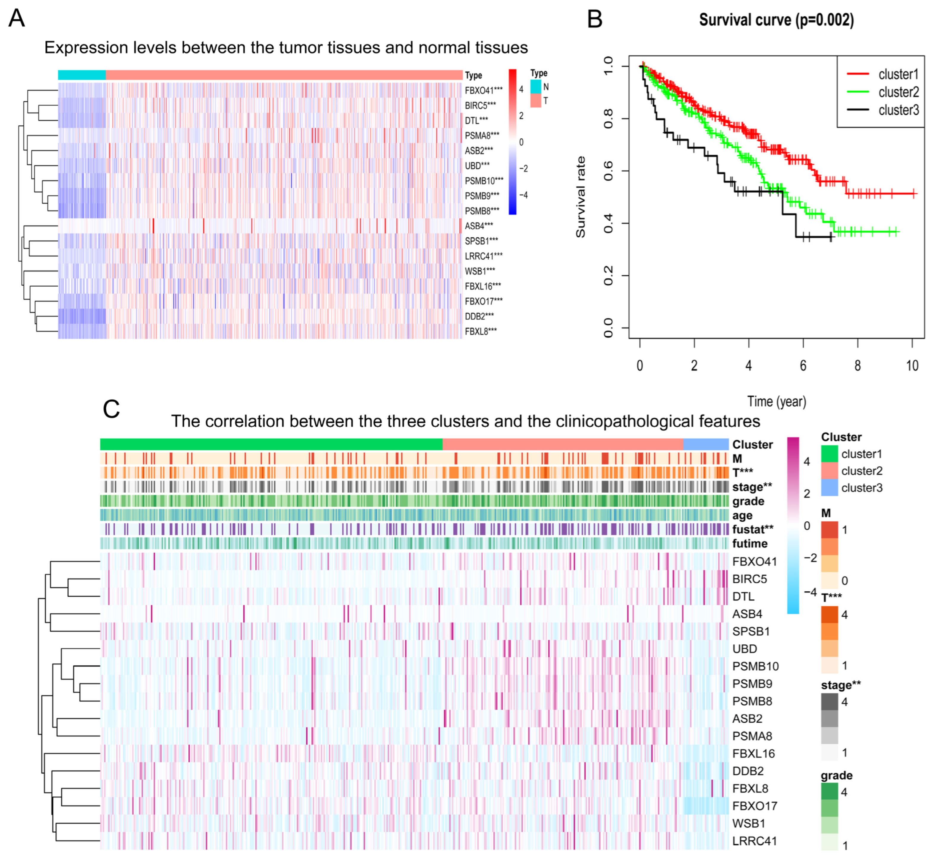 Pharmaceuticals 17 00635 g005