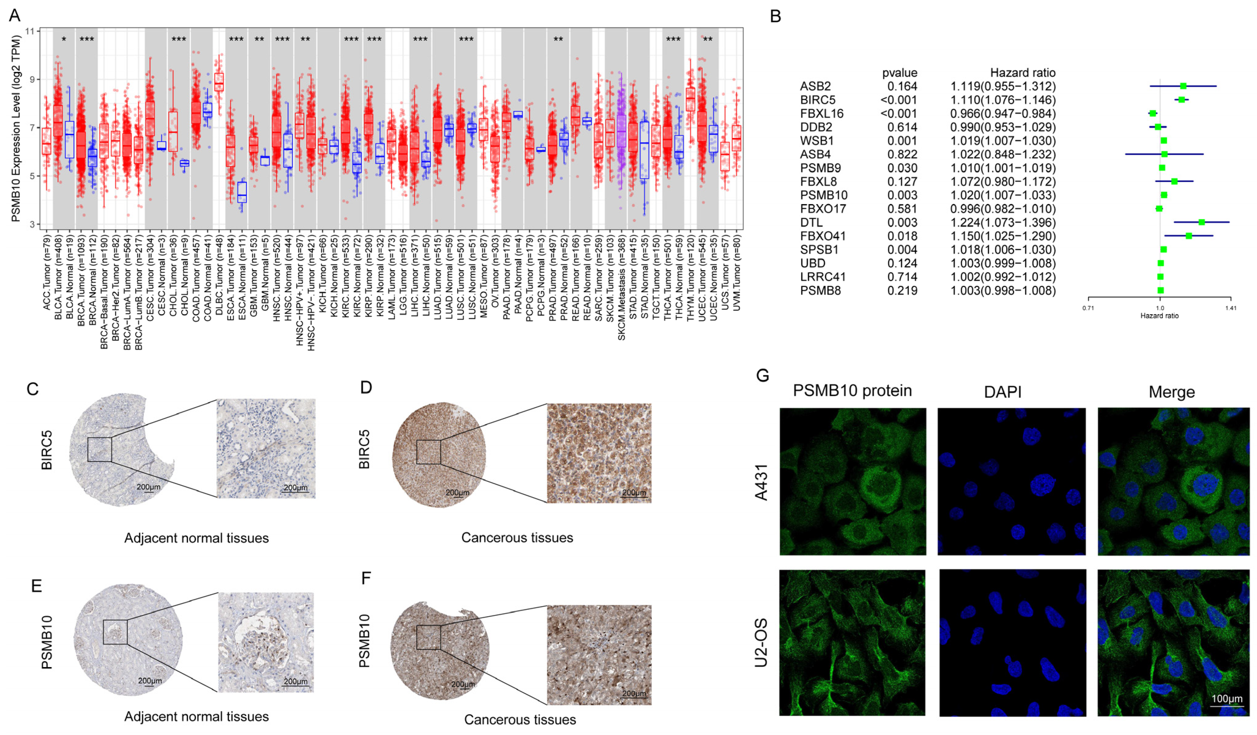 Pharmaceuticals 17 00635 g008