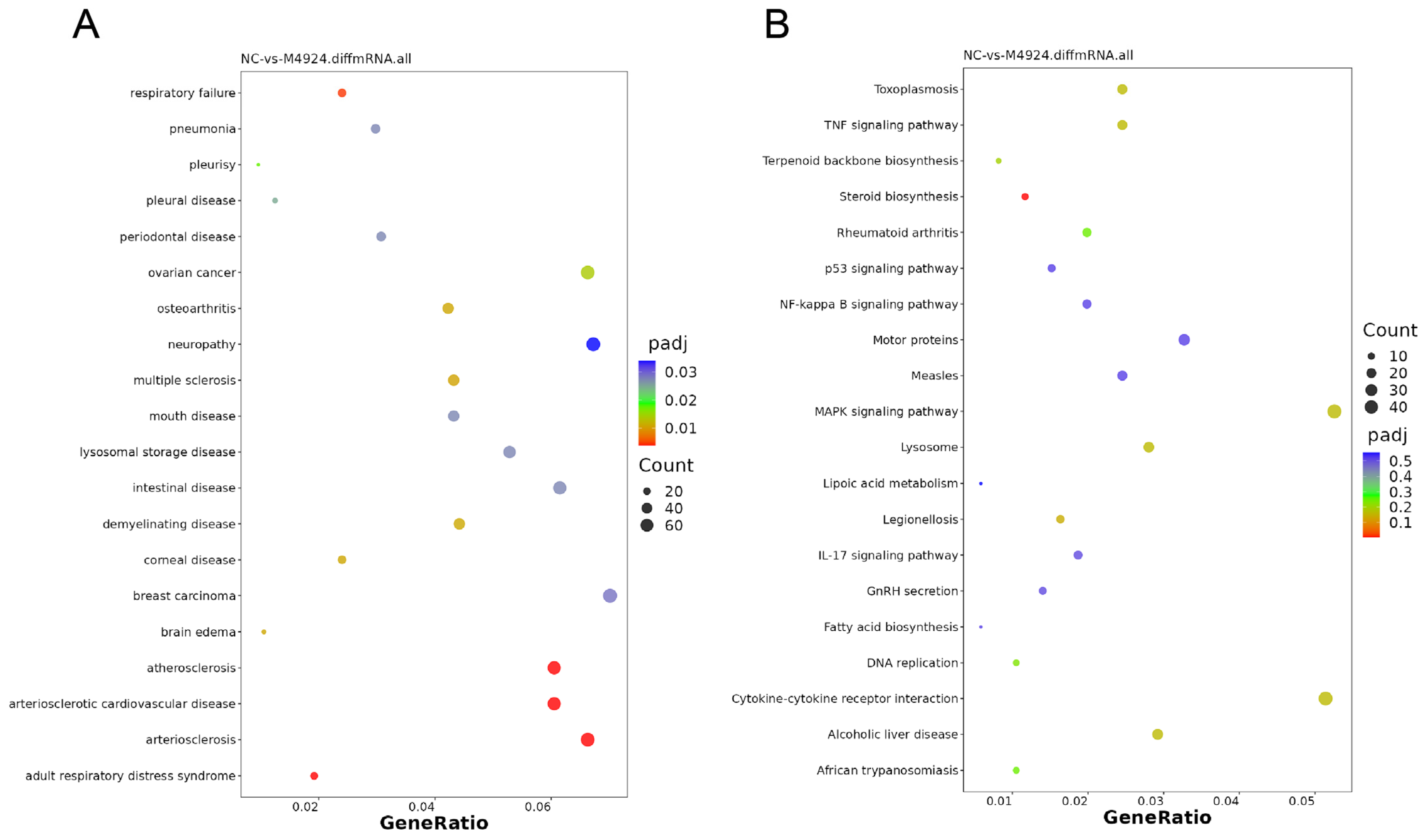 Pharmaceuticals 17 00635 g010