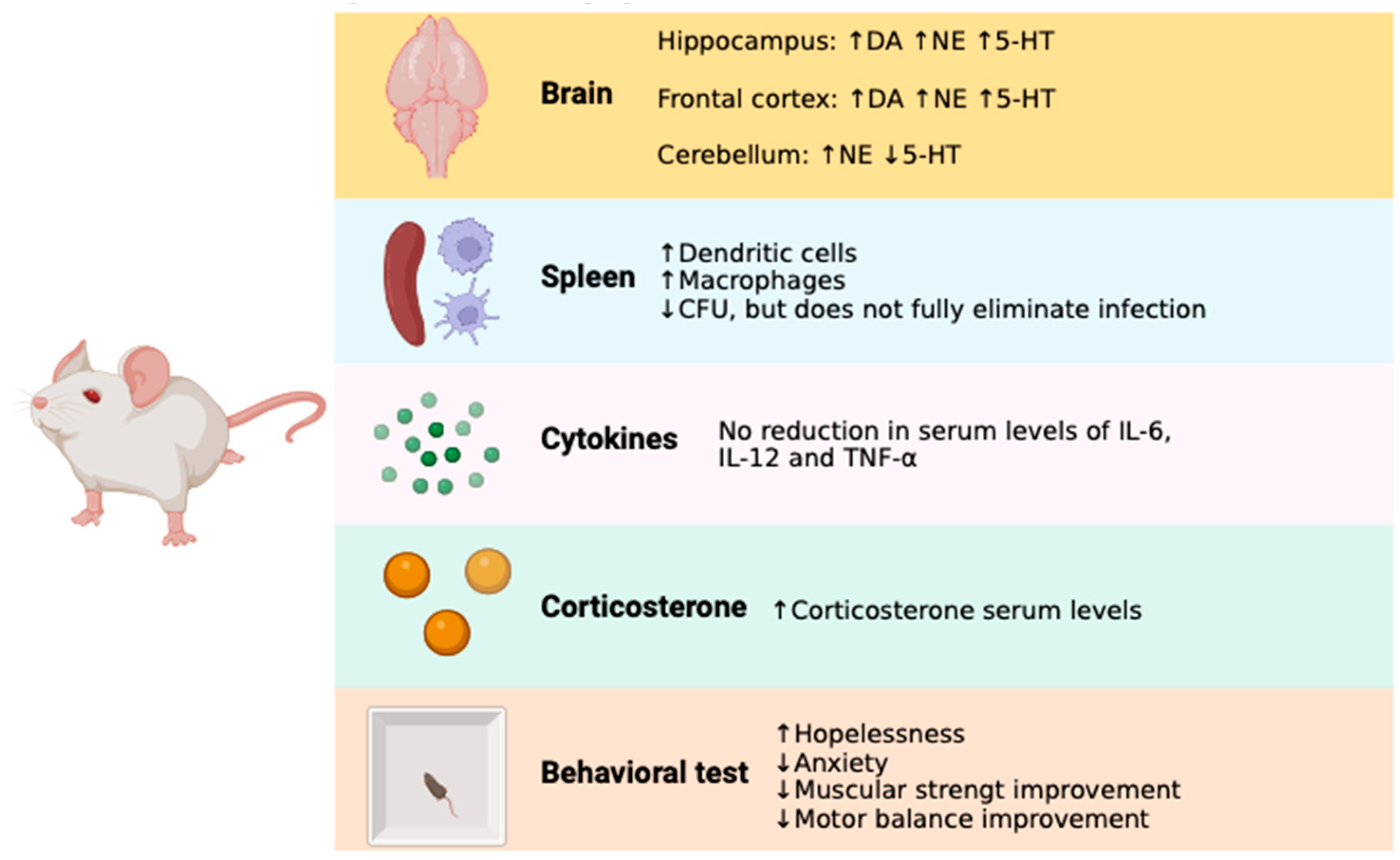 Pharmaceuticals 17 00638 g008