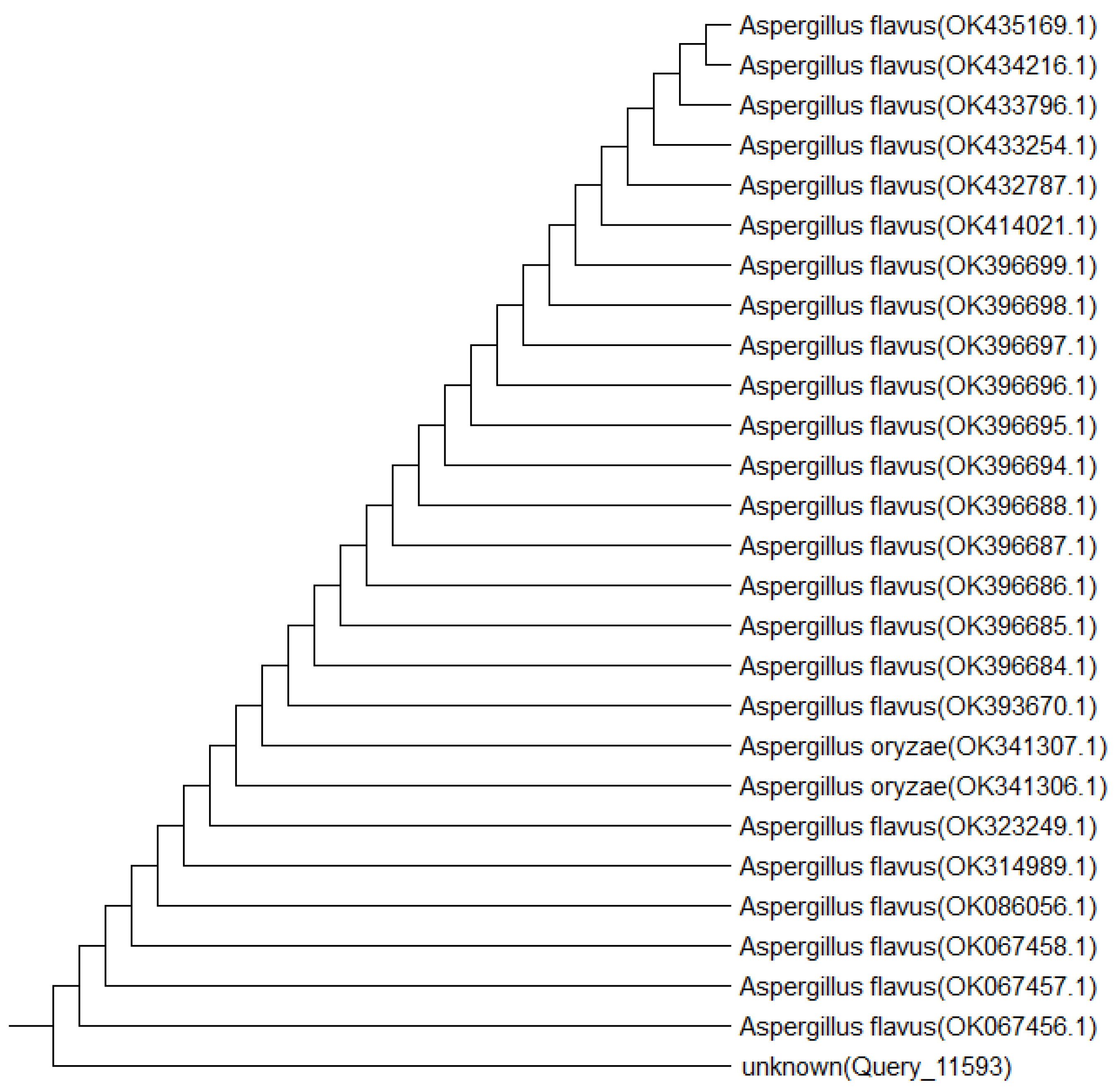 Pharmaceuticals 17 00656 g002