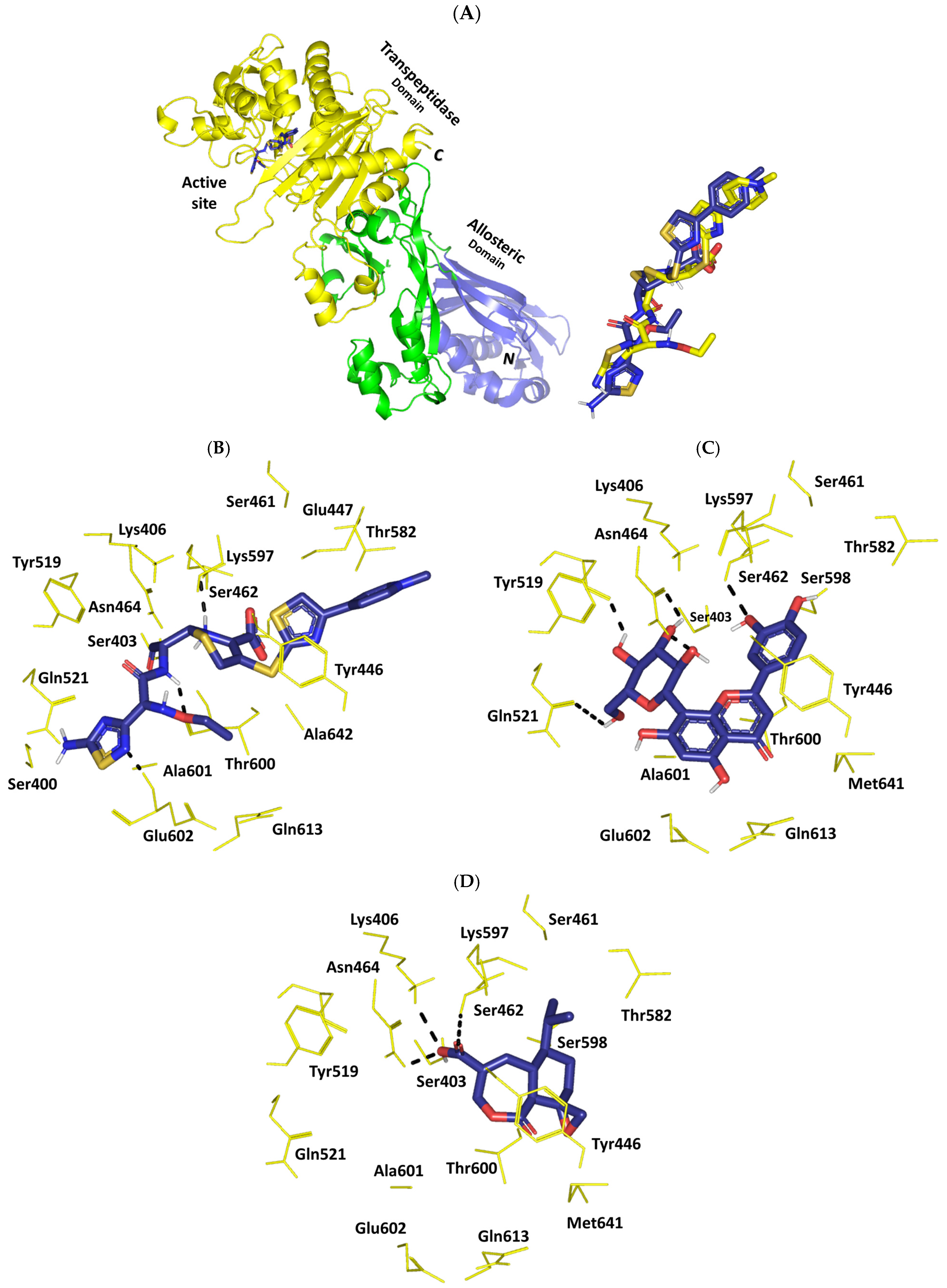 Pharmaceuticals 17 00656 g009