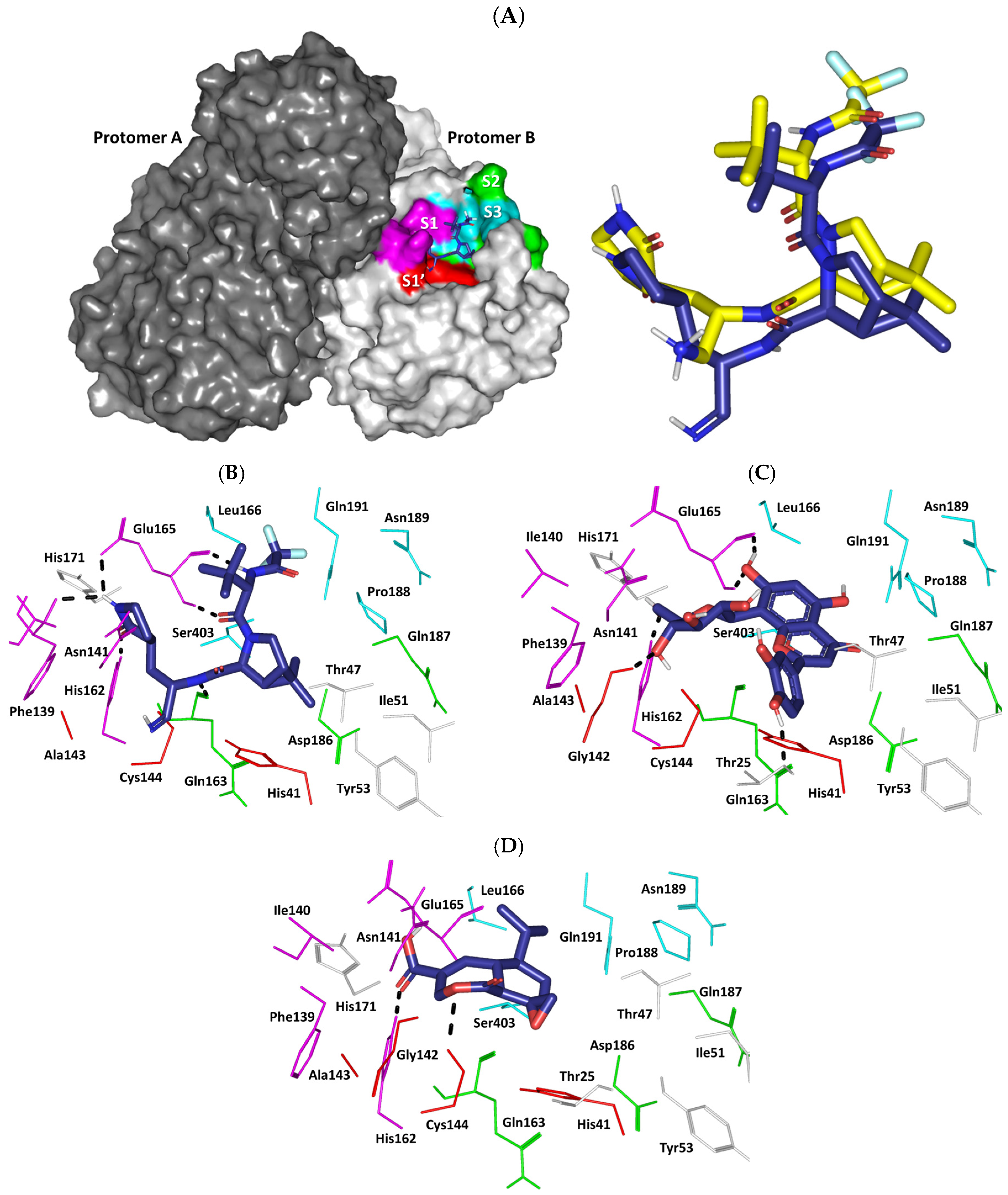 Pharmaceuticals 17 00656 g011