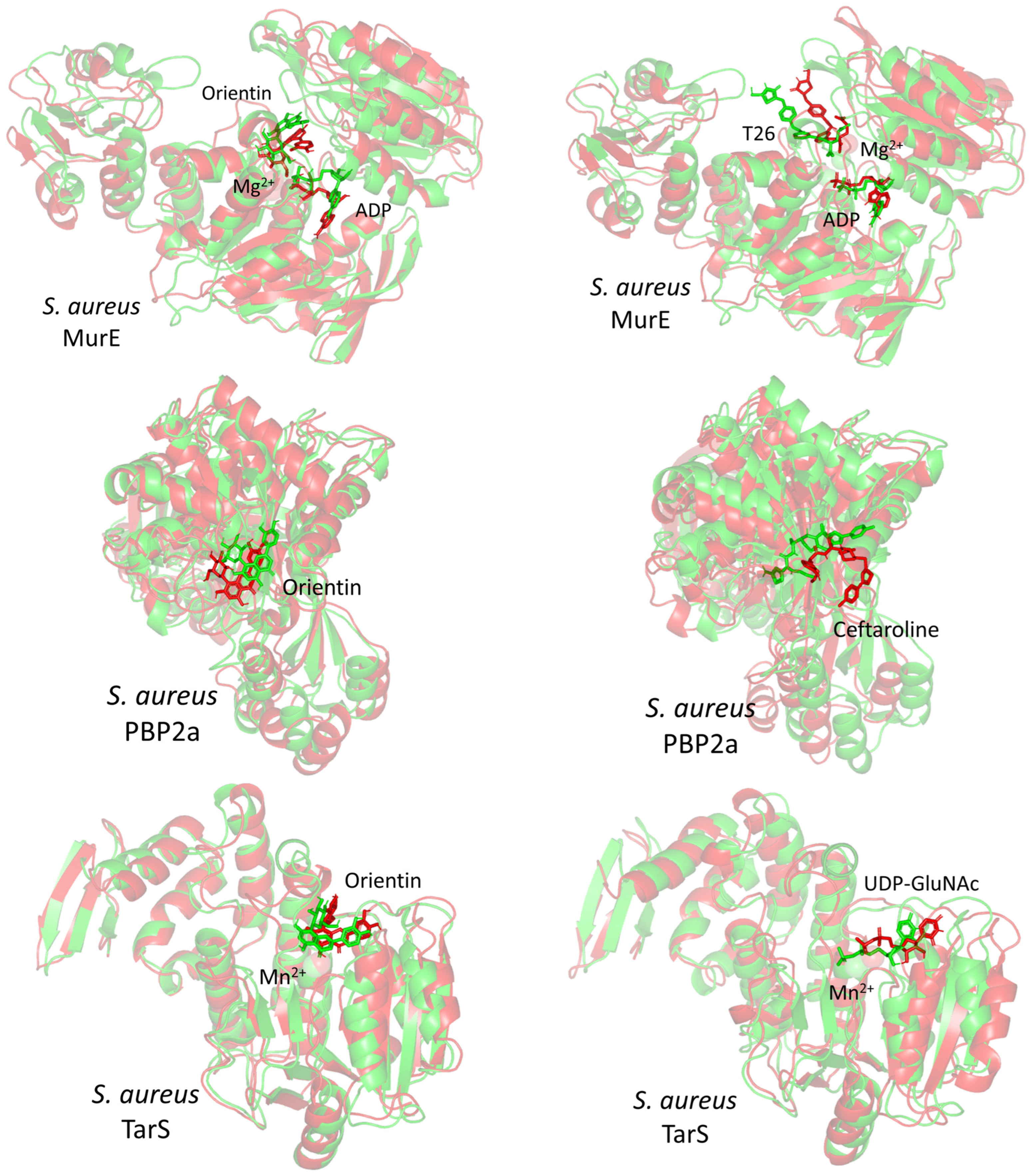 Pharmaceuticals 17 00656 g013a